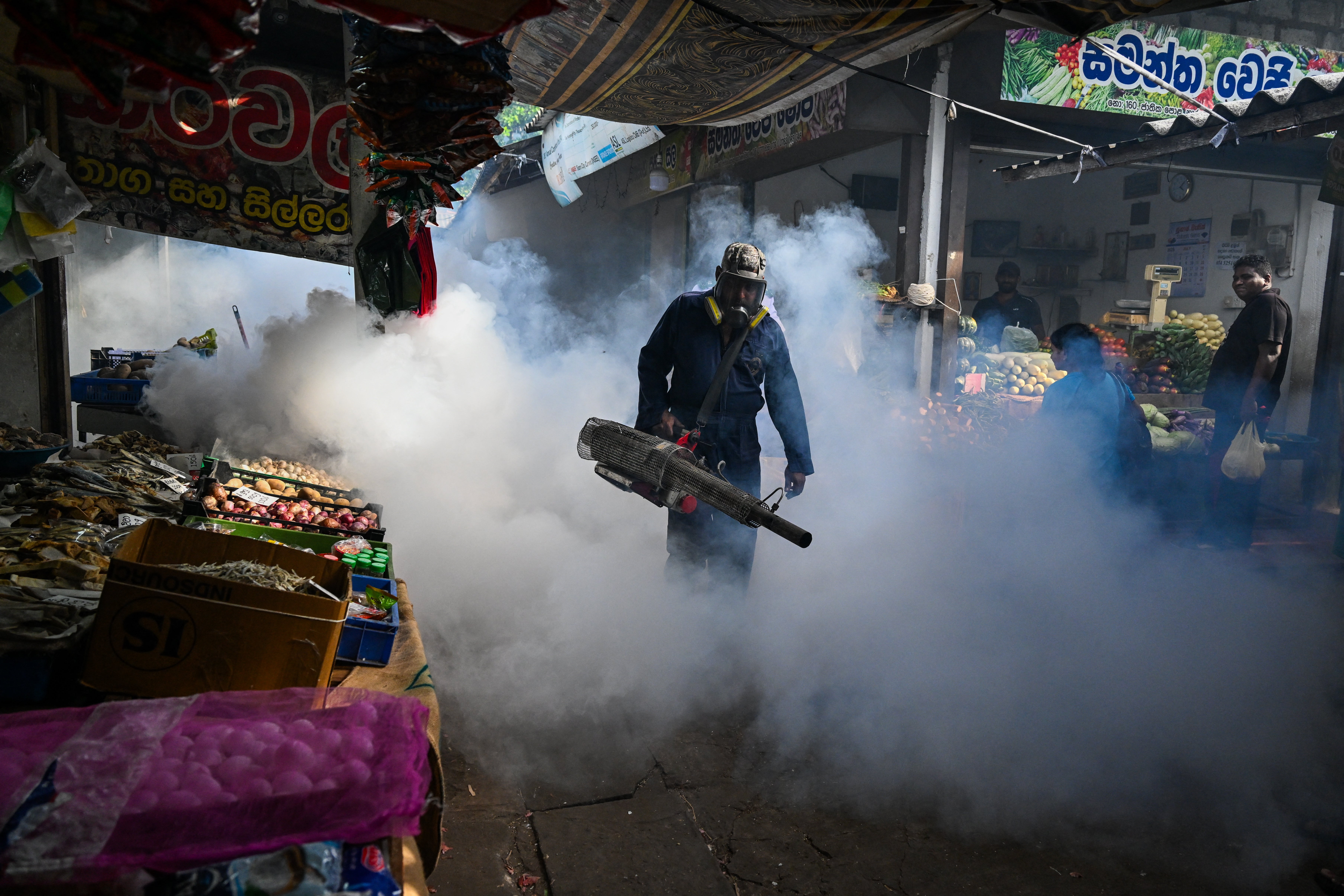 A municipal worker fumigates a market area during a dengue prevention campaign in Colombo on 15 July 2026