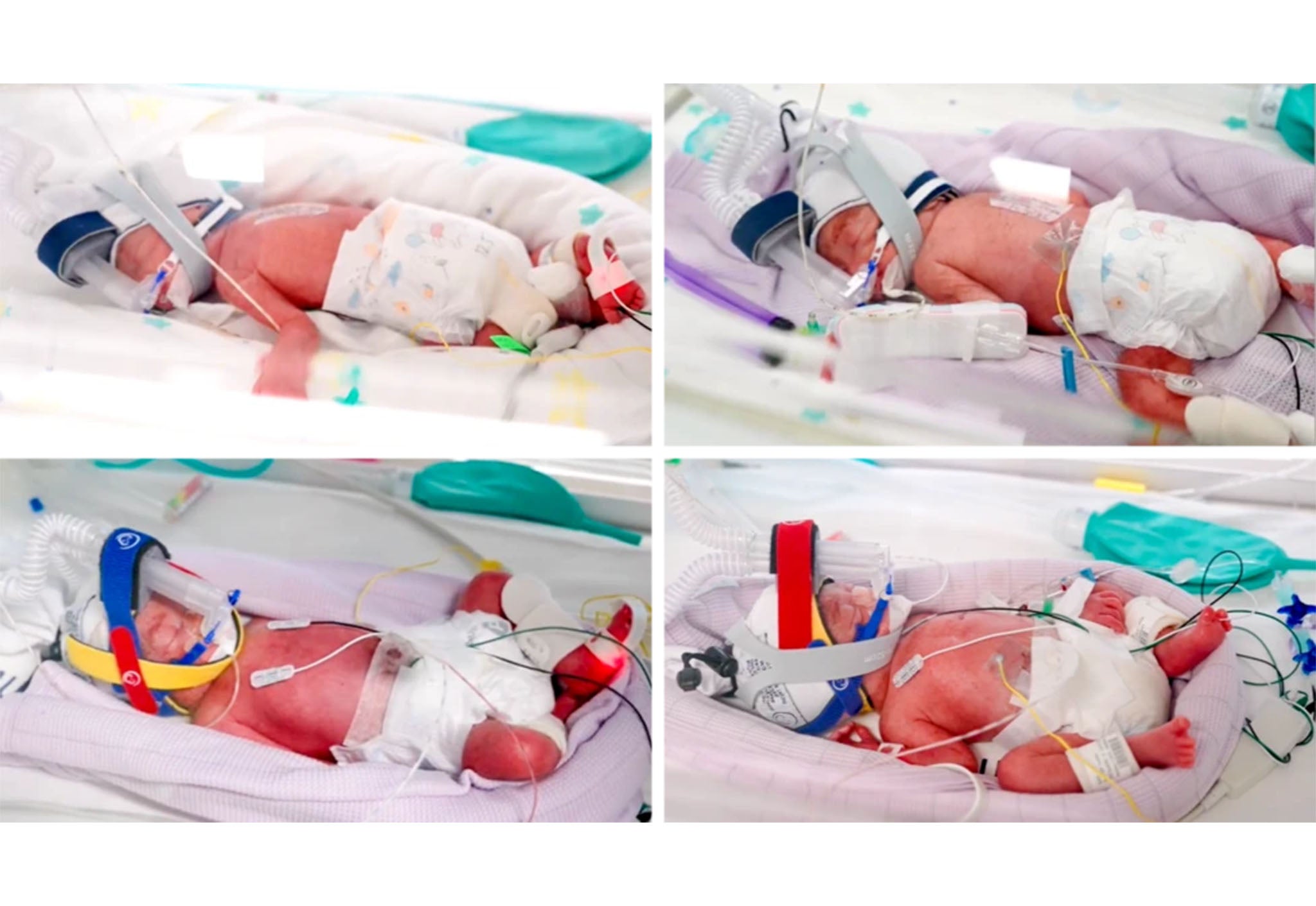 The four children were born premature but healthy on 14 July