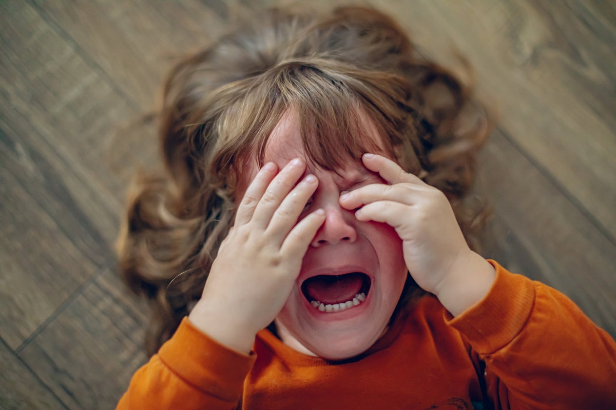 That ‘terrible two’ tantrum may actually be a sign of healthy development