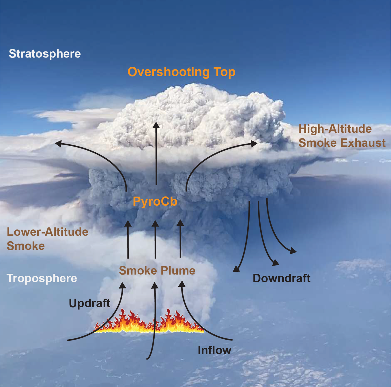 This graphic image shows how smoke from a wildfire helps moisture in the atmosphere condense into a cloud known as a pyrocumulonimbus