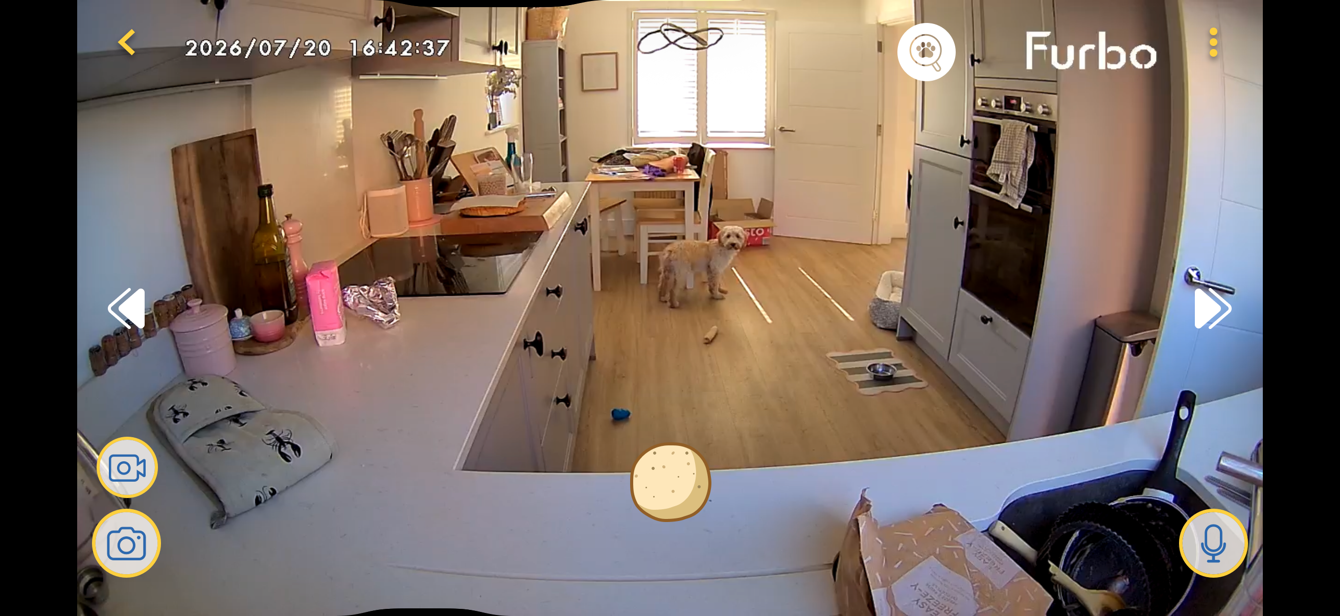 The Furbo mini has slightly better video quality (Alistair Charlton / The Independent)