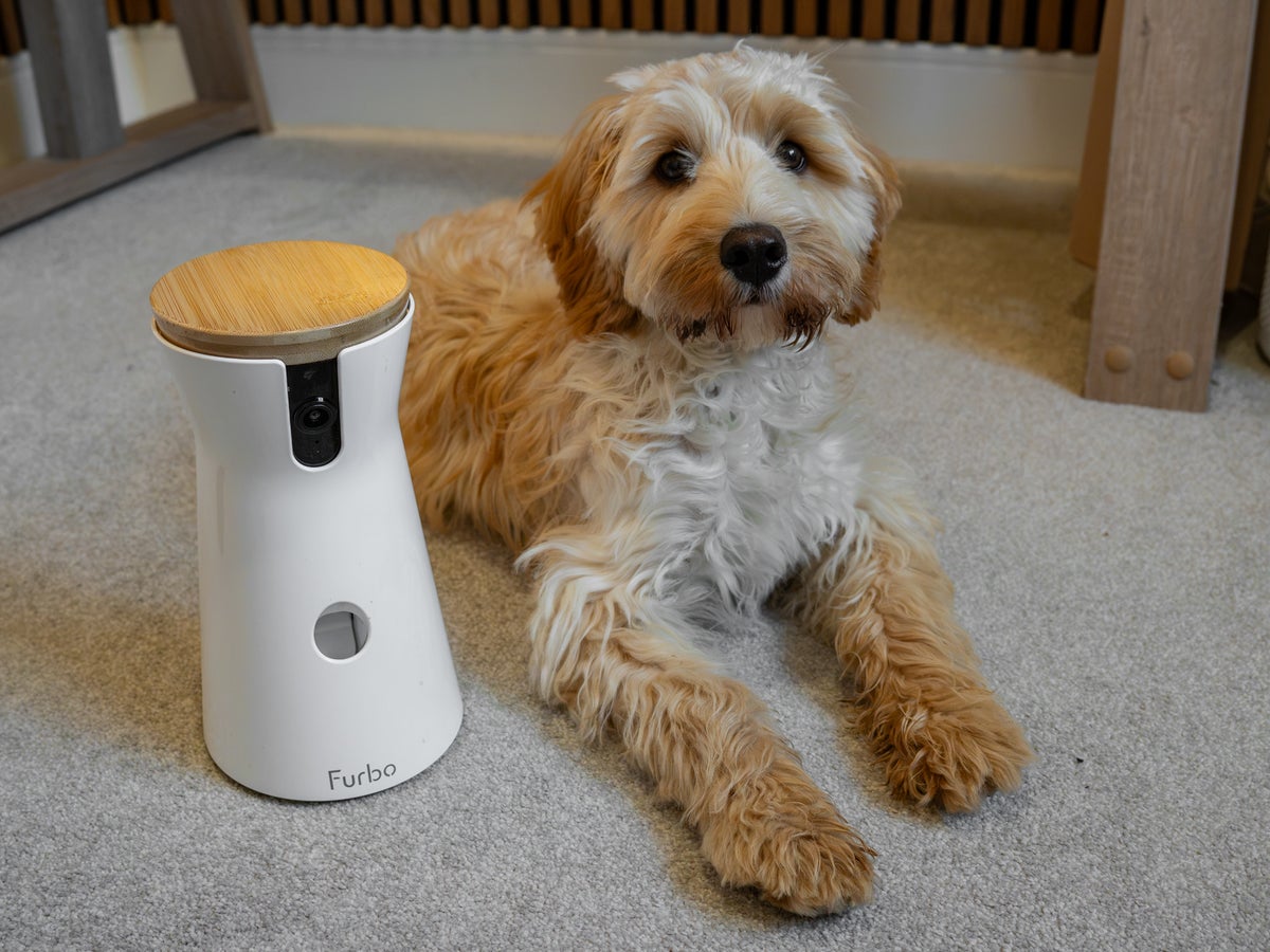 My cockapoo approves of the Furbo – but is it really worth it