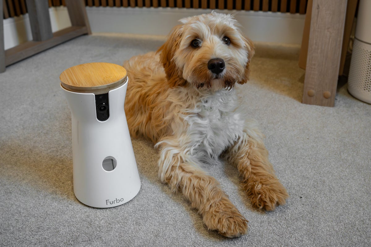 My cockapoo approves of the Furbo – but is it really worth it