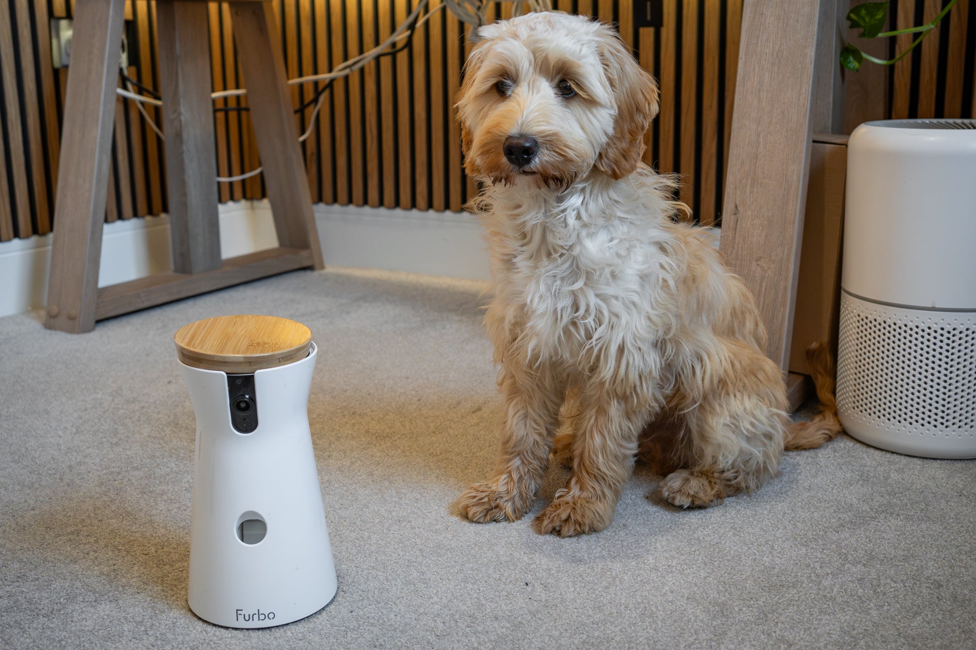 The removable bamboo lid provides access to the treat storage (Alistair Charlton/The Independent)
