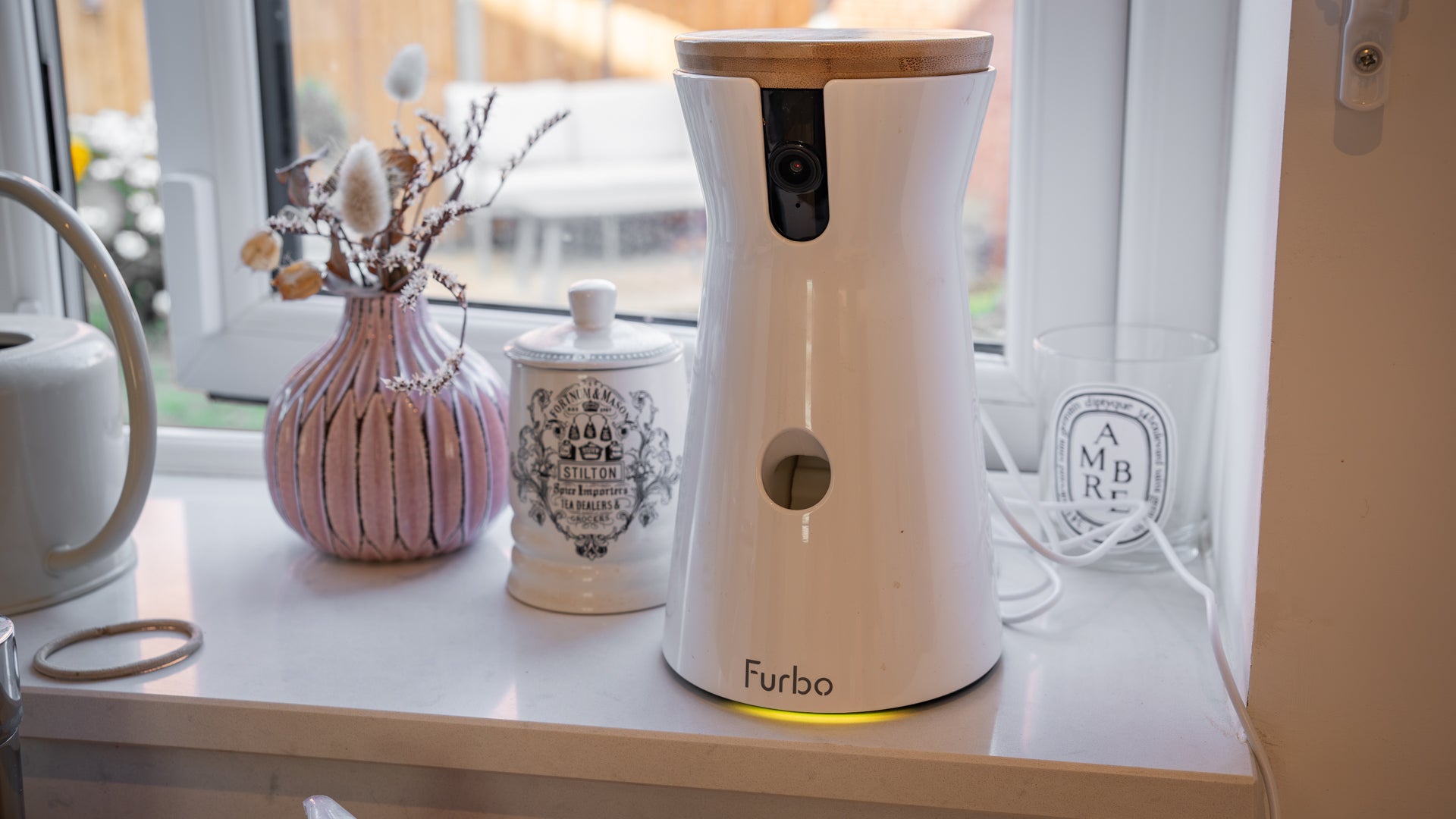The Furbo pans 360 degrees to follow your dog around the room, and zooms in too (Alistair Charlton/The Independent)