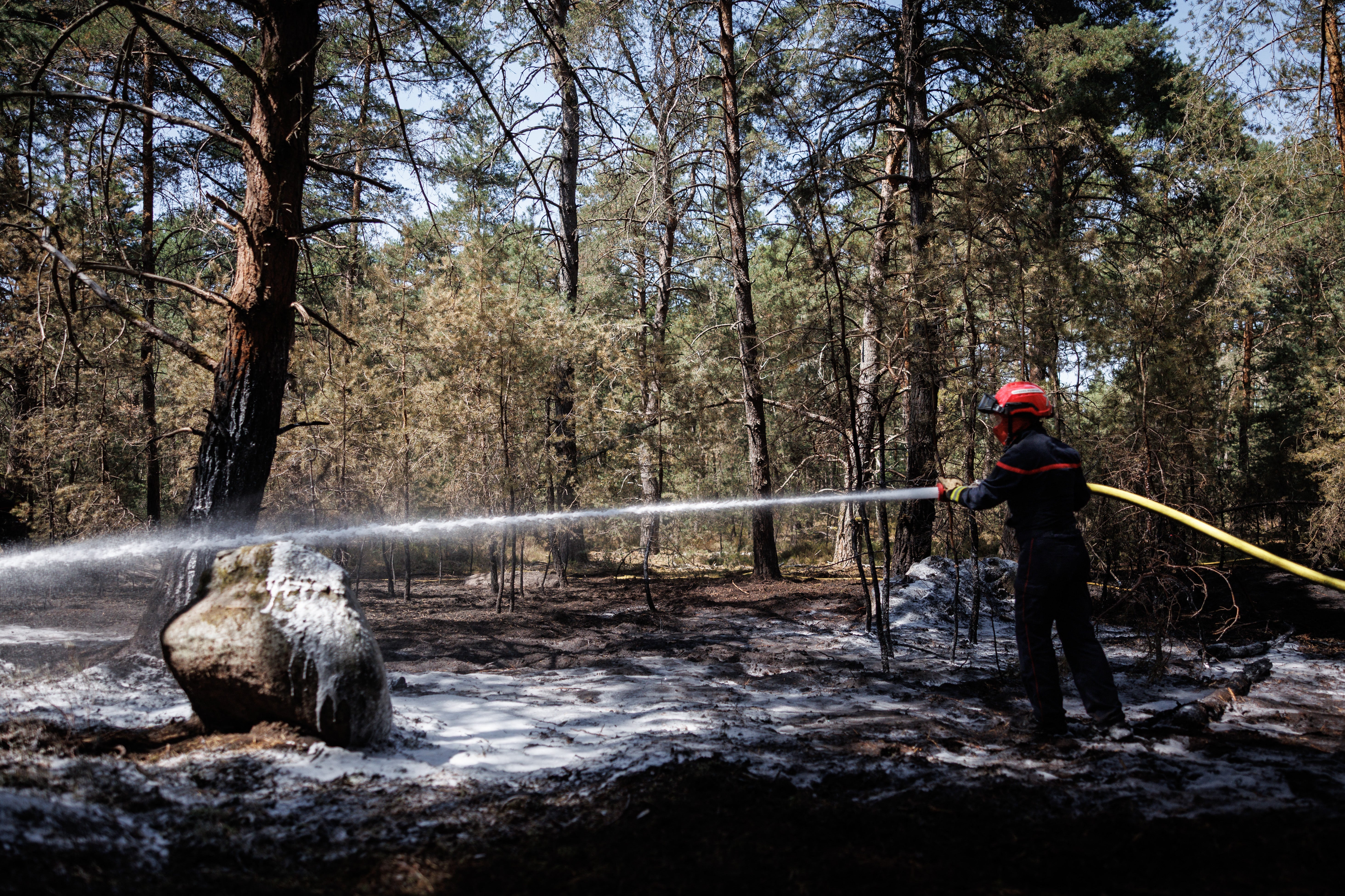 A French firefighter extinguishes a flare-up in the Fontainebleau Forest, one of multiple fires throughout France (AFP/Getty)