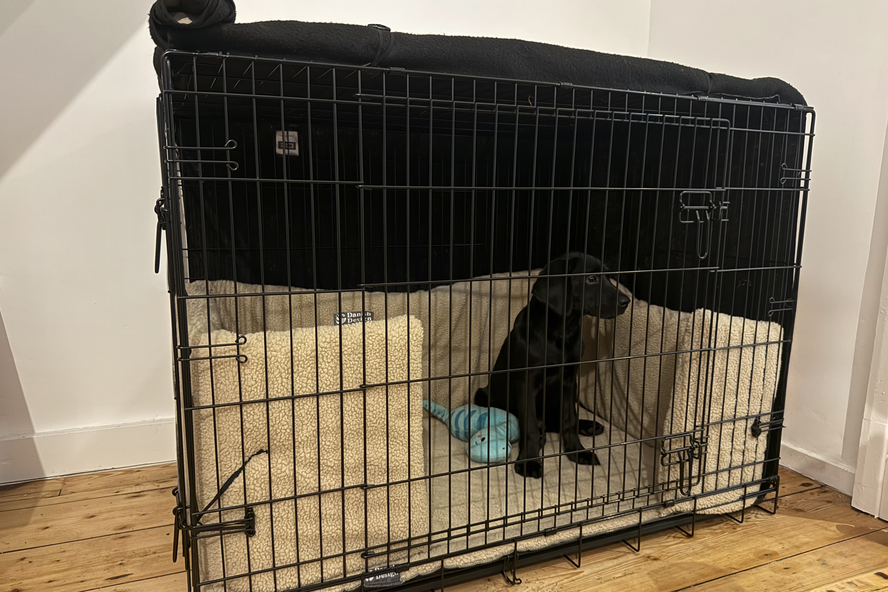 The bumper set gives the harsh appearance of the crate a more comforting feel (Lucy Smith/The Independent)