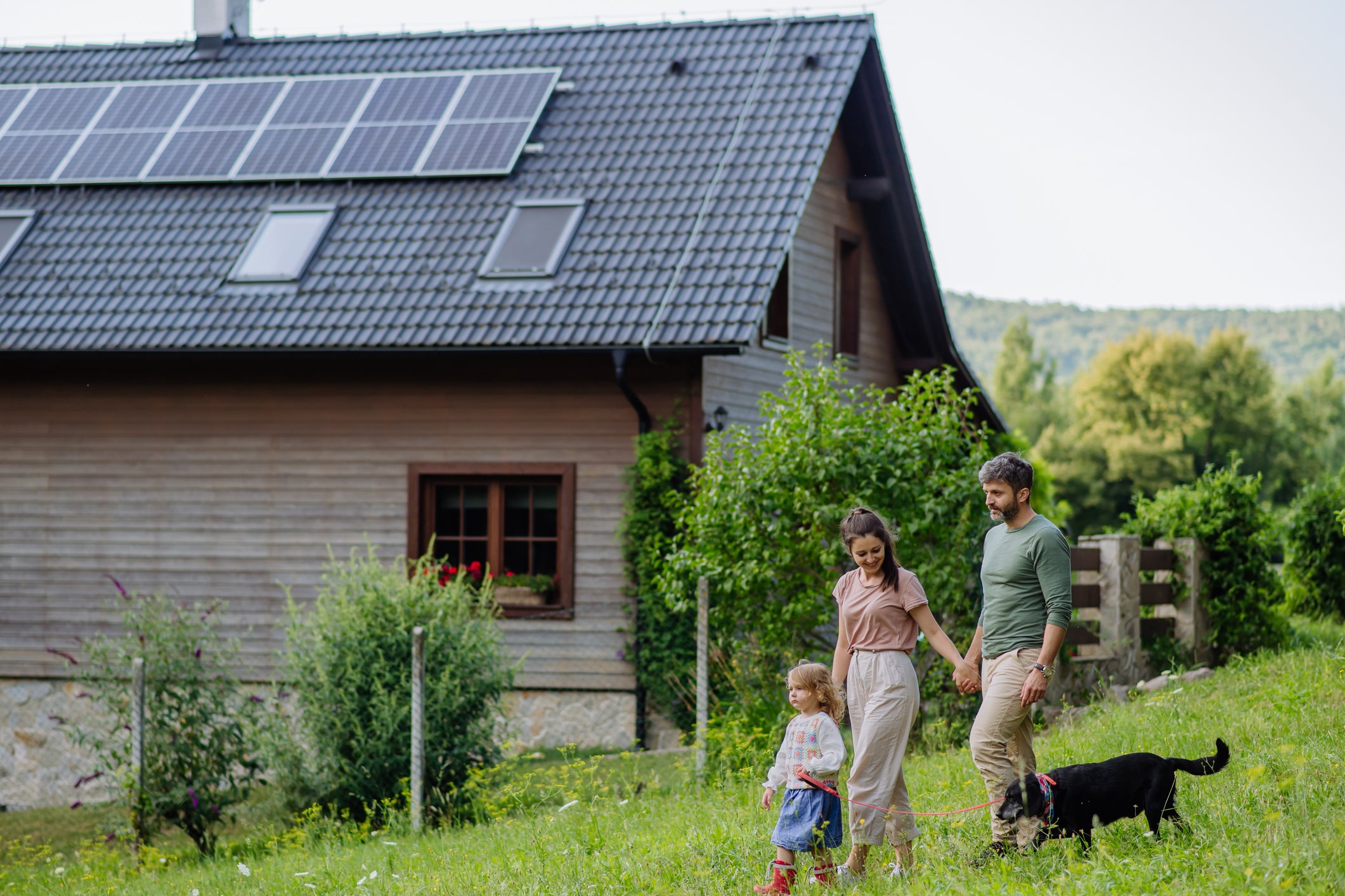 independent.co.uk - What happened when I started generating my own electricity