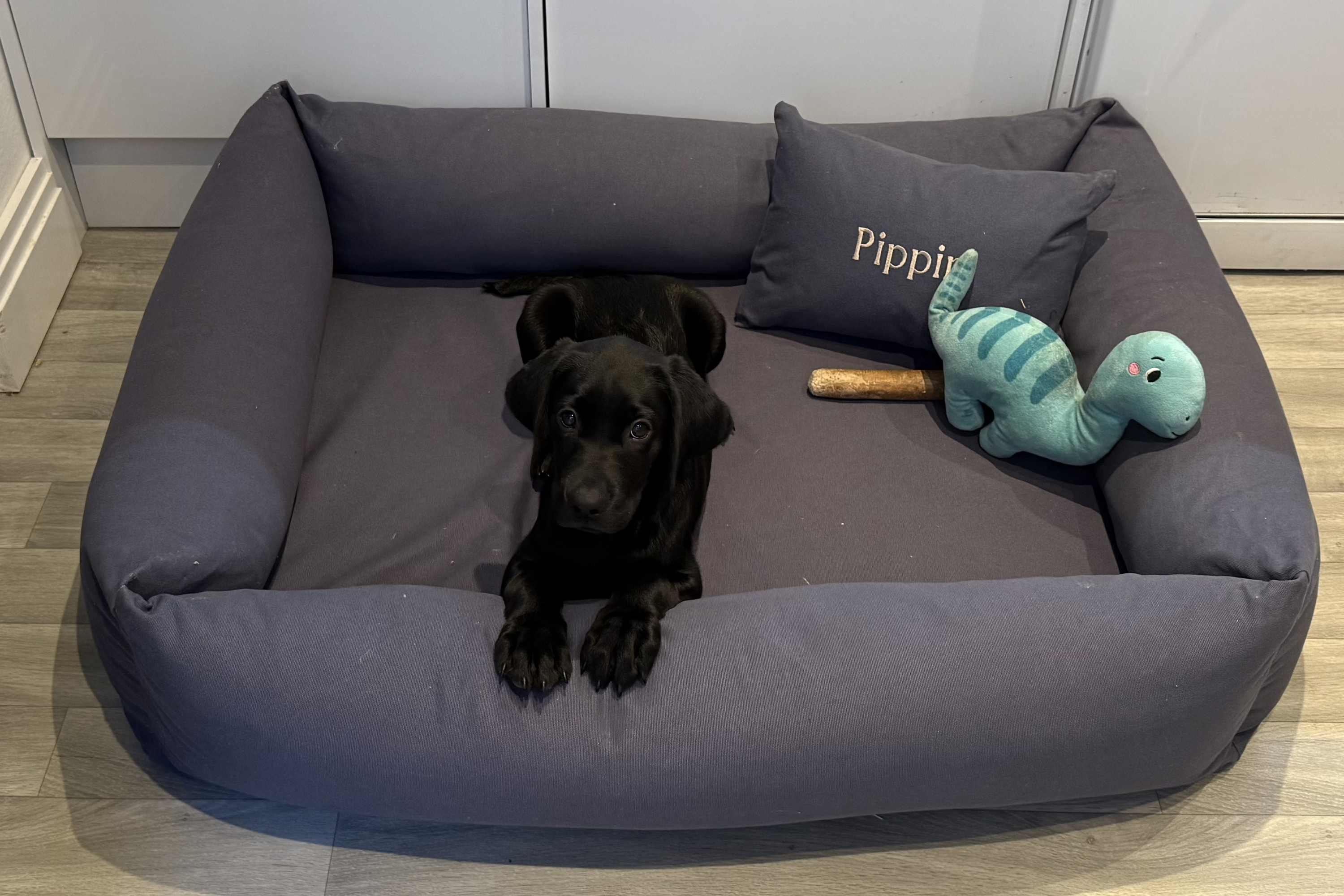 There are heaps of Ruff and Tumble accessories, from personalised bolster cushions to wool fleece toppers (Lucy Smith/The Independent)