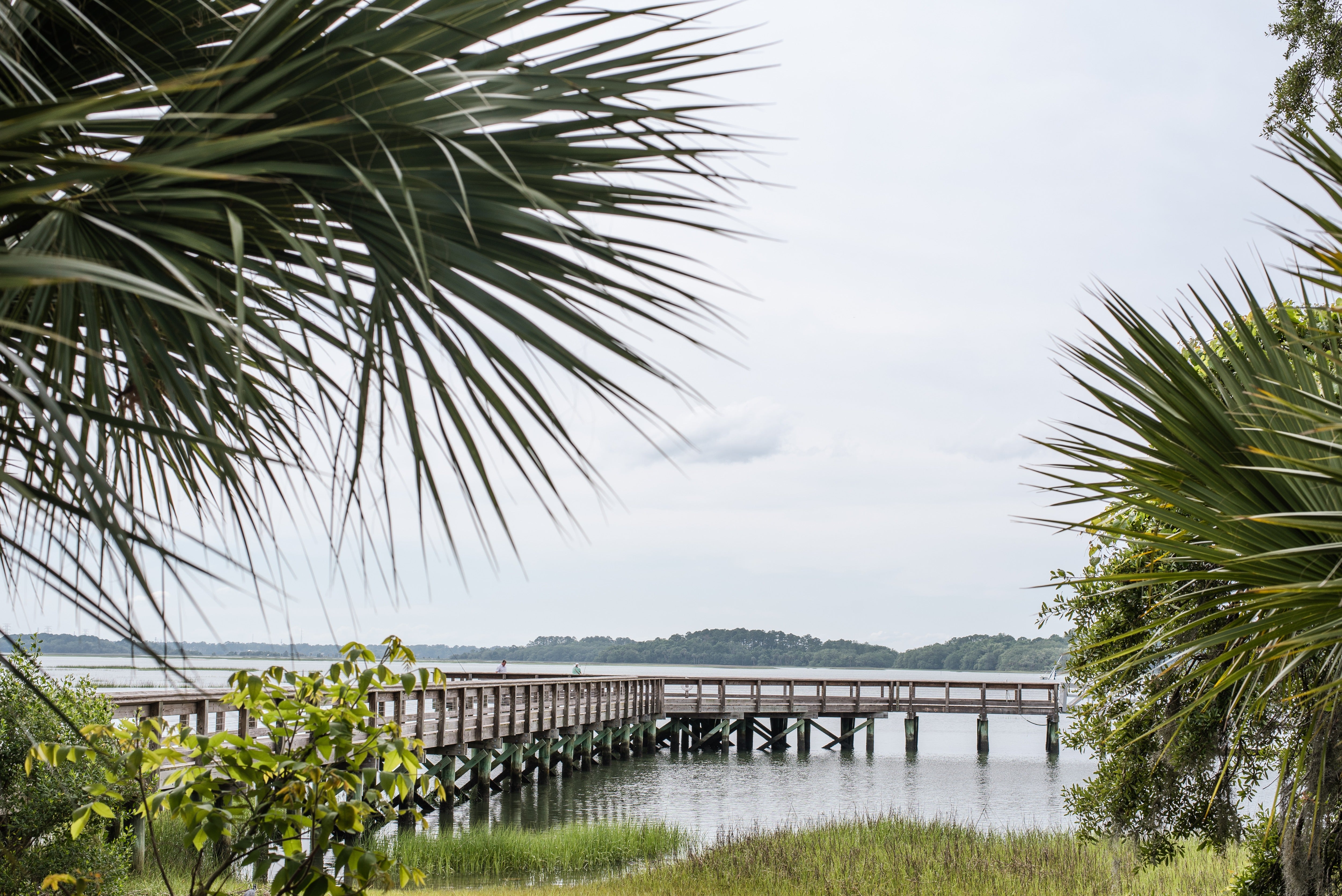 A boardwalk over the marshland on Hilton Head Island