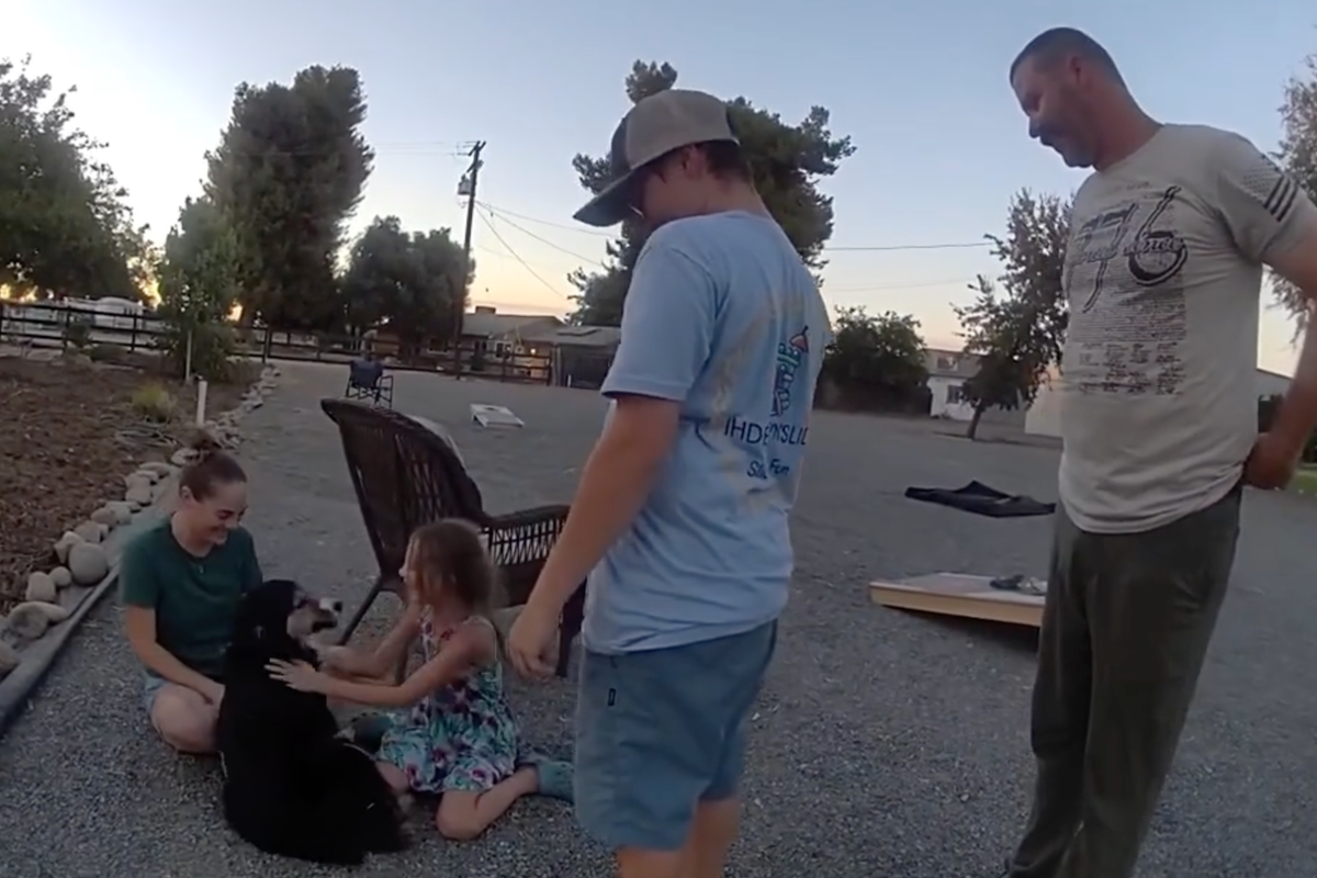 Dog found 30 miles from home is reunited with owners after going missing for 10 days