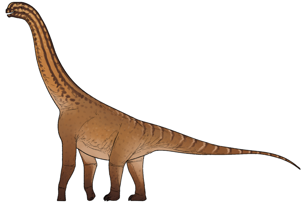 Unique Indian fossil transforms our understanding of one of most popular dinosaur groups – UK Times Unique Indian fossil transforms our understanding of one of most popular dinosaur groups – UK Times