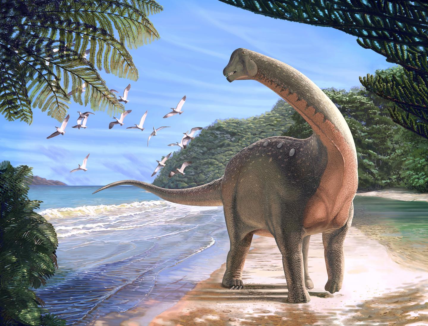 life reconstruction of the titanosaurian dinosaur Mansourasaurus shahinae