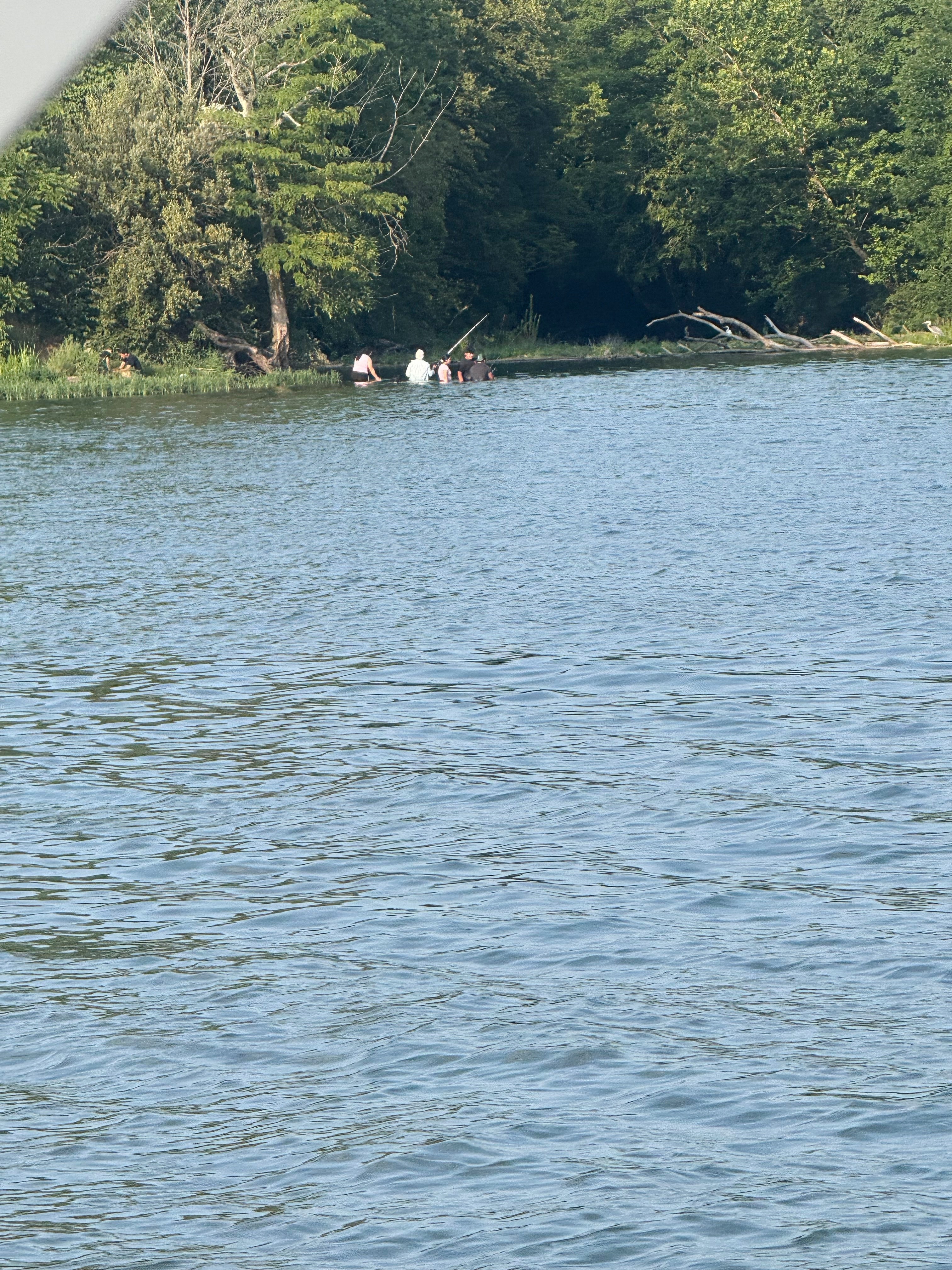 Delaware County Sheriff Jeffrey Balzer has said authorities believe one of the adults began struggling to swim and the others successively went to that person's aid