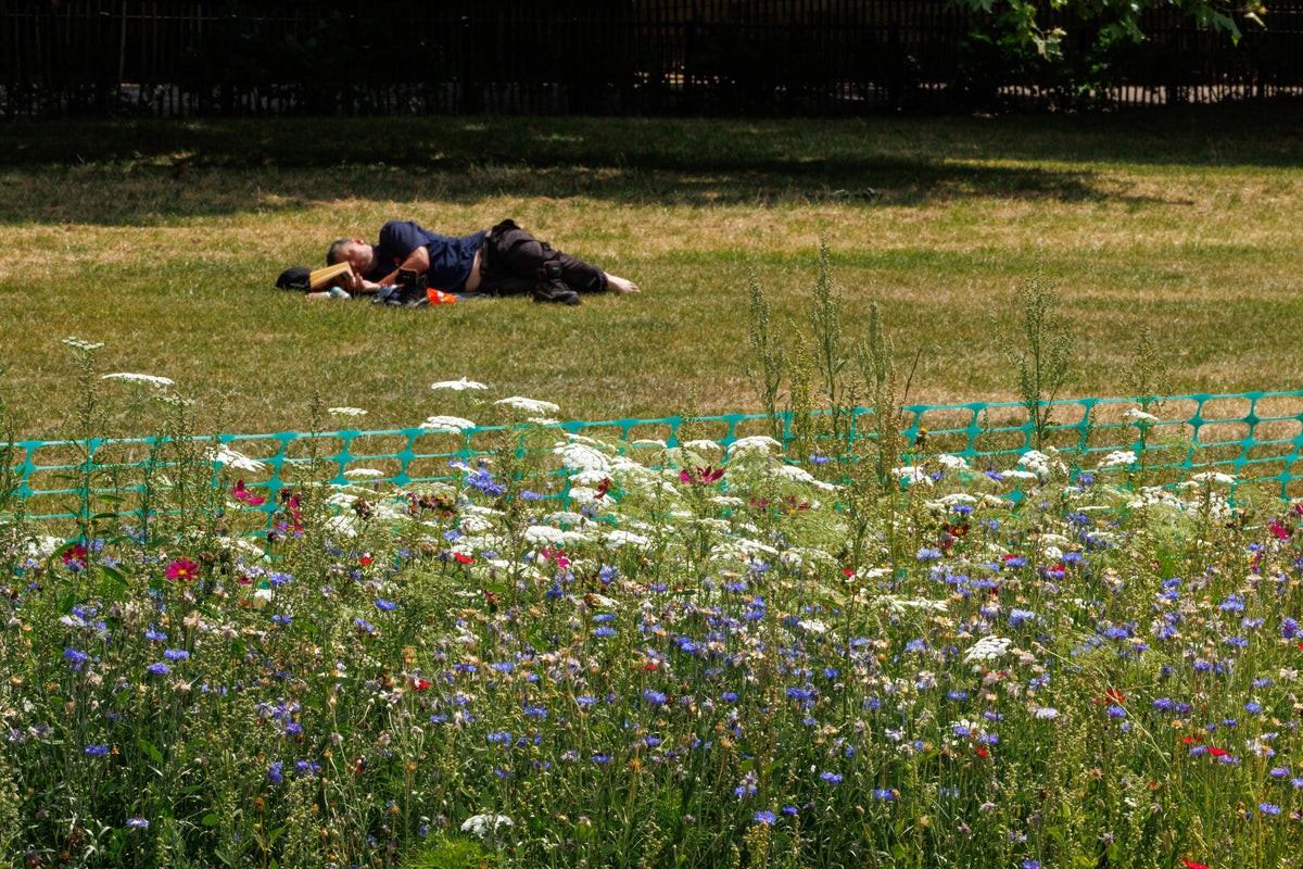 Five reasons why you feel so tired in the summer – and what to do about it
