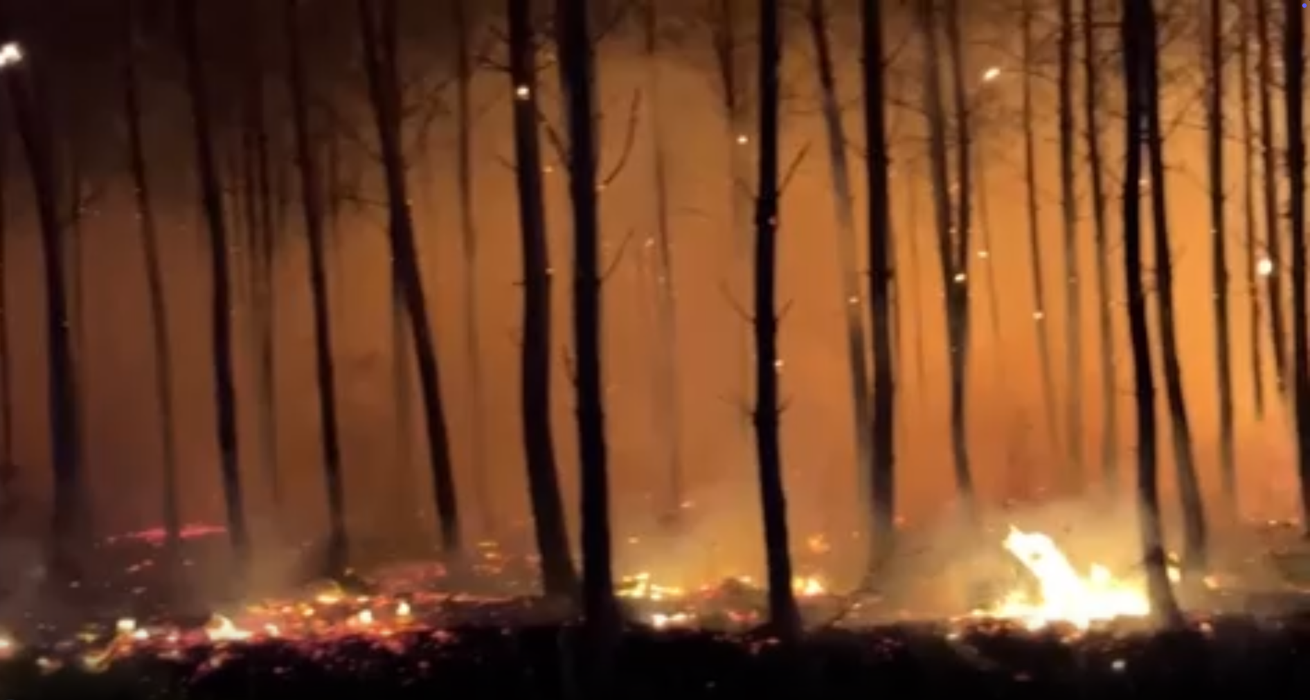 Forests were hauntingly lit at night as they were engulfed in flames