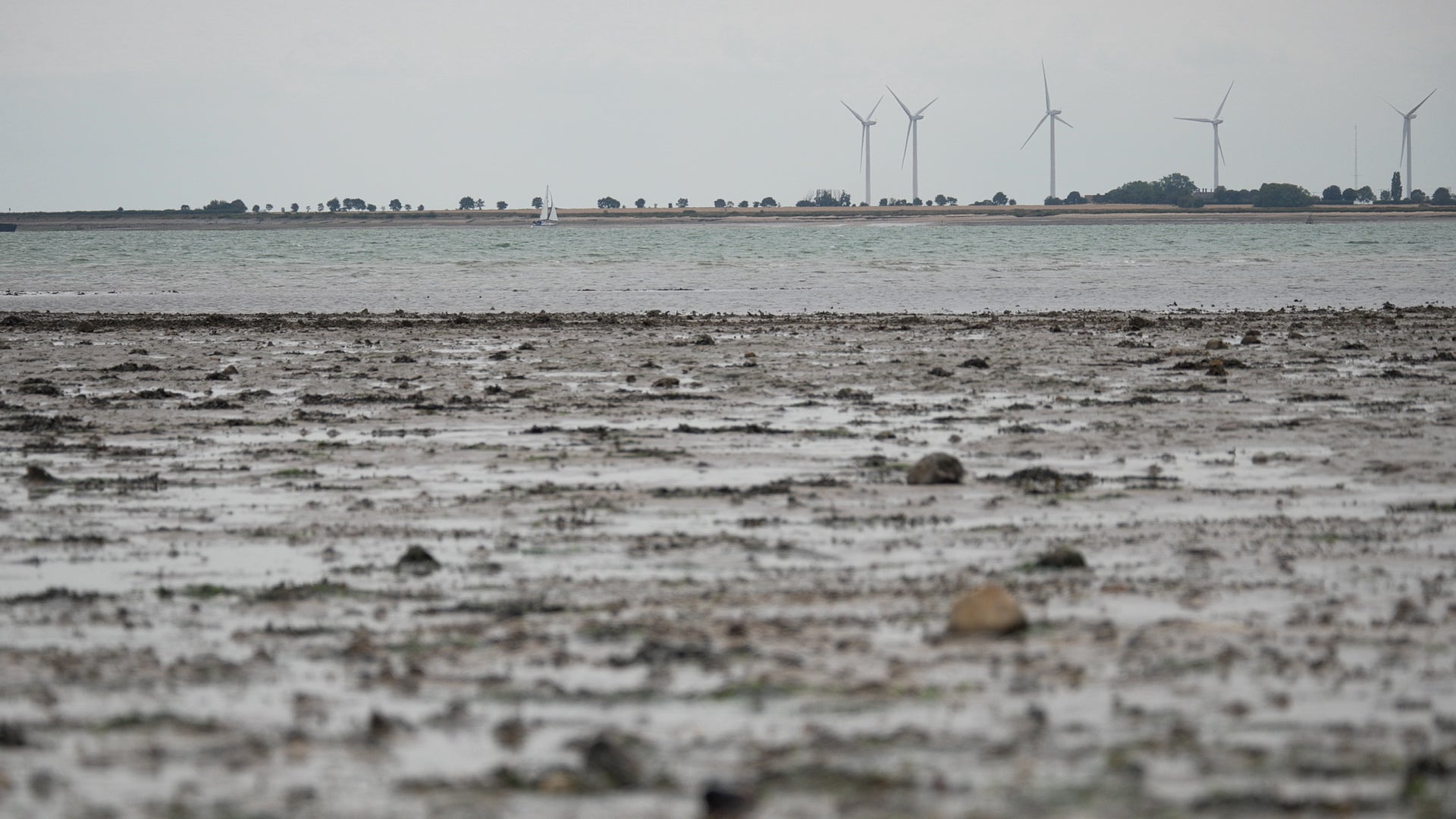 Mother and daughter who died in ‘tragic incident’ at Essex beach identified