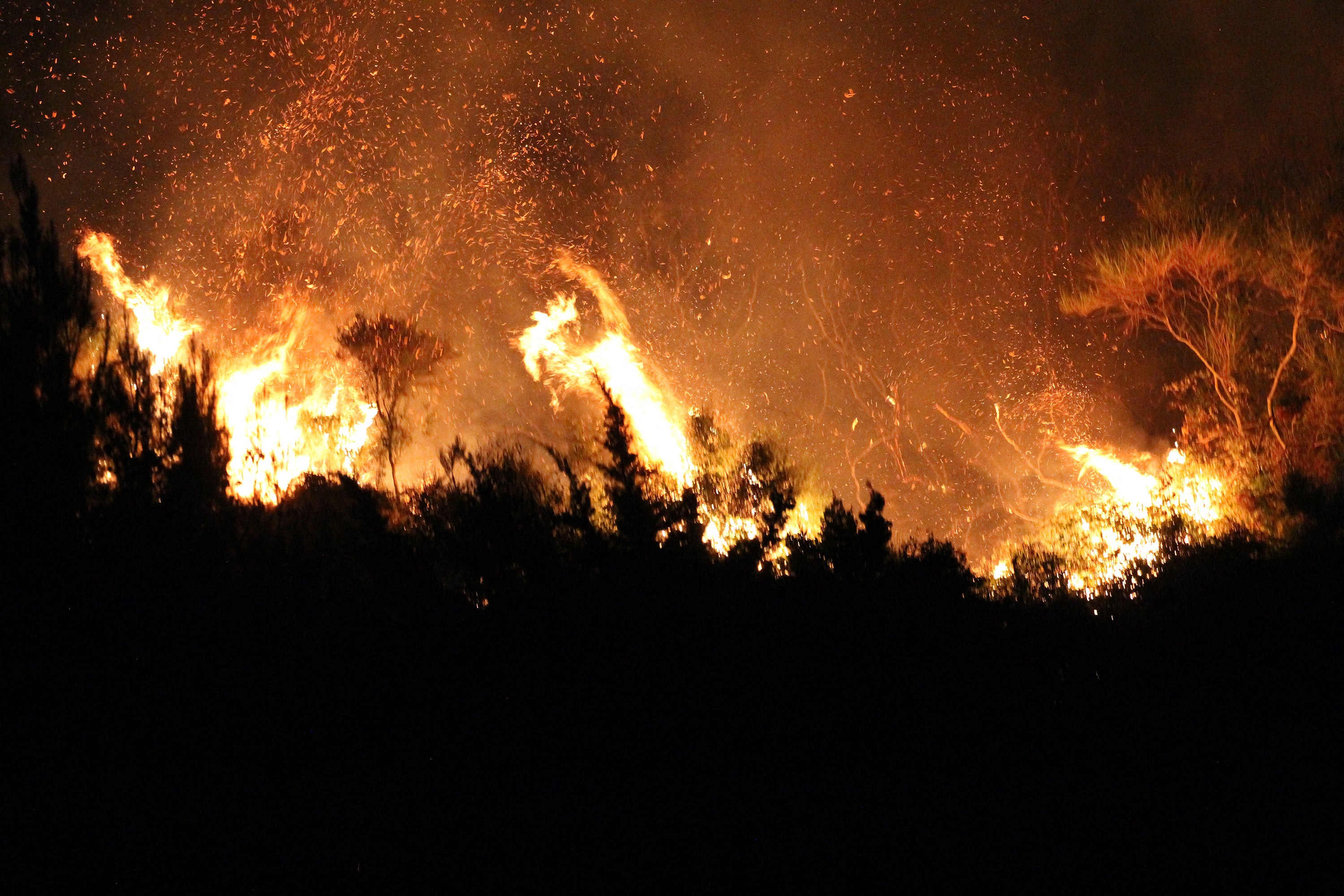 Sagana in the territory of Monreale, in Sicily, was ravaged by fires on Wednesday