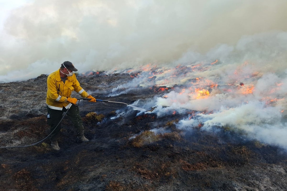 Cairngorms wildfire: Police declare major incident as nearby homes evacuated – UK Times Cairngorms wildfire: Police declare major incident as nearby homes evacuated – UK Times