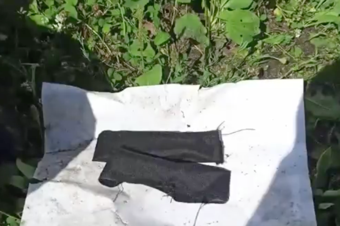 Drugs found within the collar of the cat