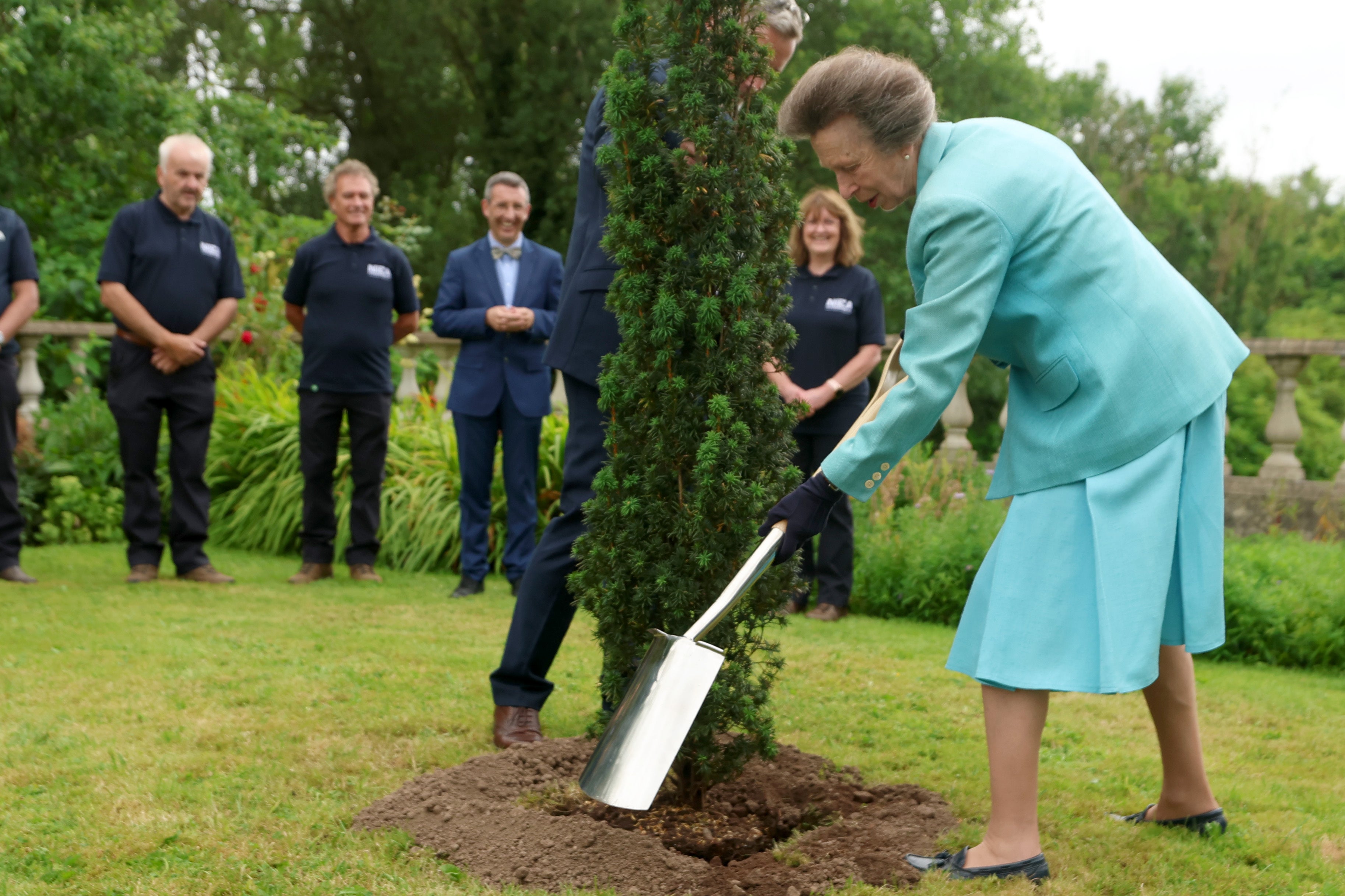 Princess Anne planted an Irish yew tree