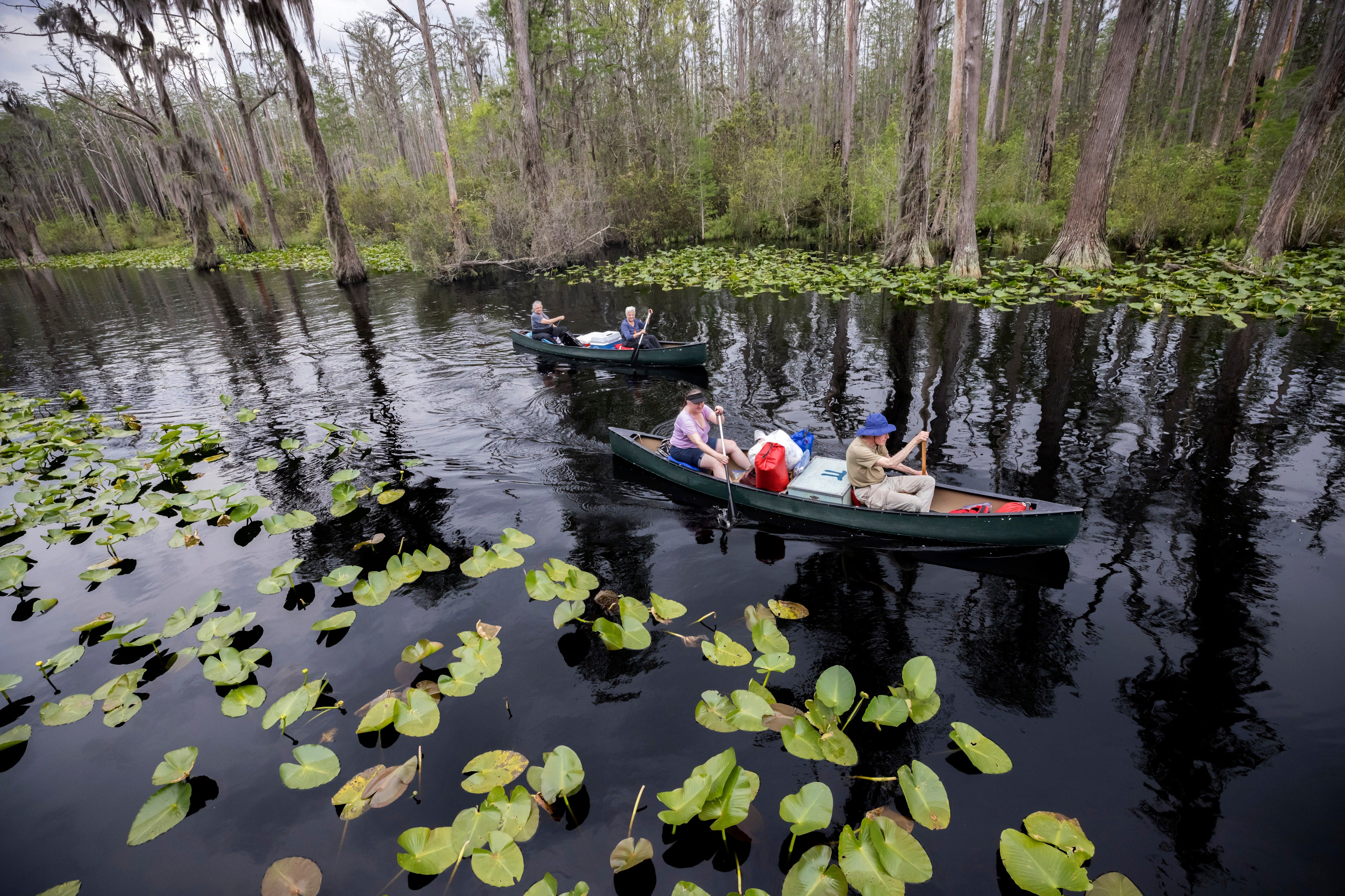 A World Heritage Site designation ‘increases a site’s significance to the world,’ according to the U.S. Fish & Wildlife Service, which owns and manages the Okefenokee National Wildlife Refuge (AP Photo/Stephen B. Morton)