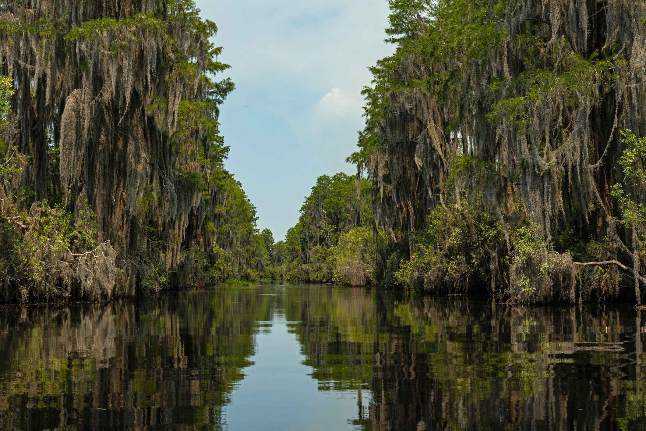 Despite the prestige, it’s an honor that some folks who live near the swamp would just as soon skip (Getty Images)
