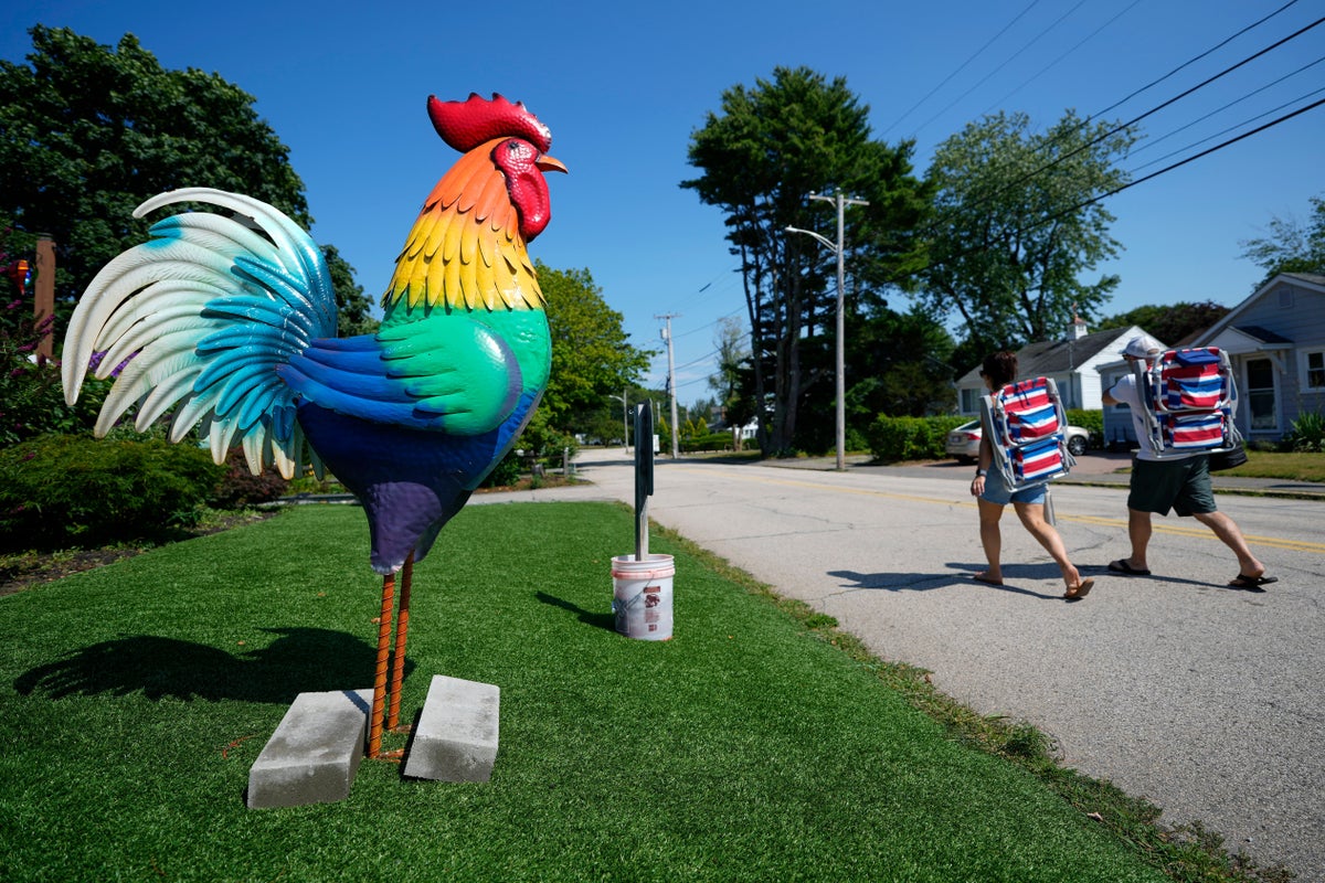 Giant metal roosters spread autism acceptance in Maine after town zoning spat – UK Times Giant metal roosters spread autism acceptance in Maine after town zoning spat – UK Times