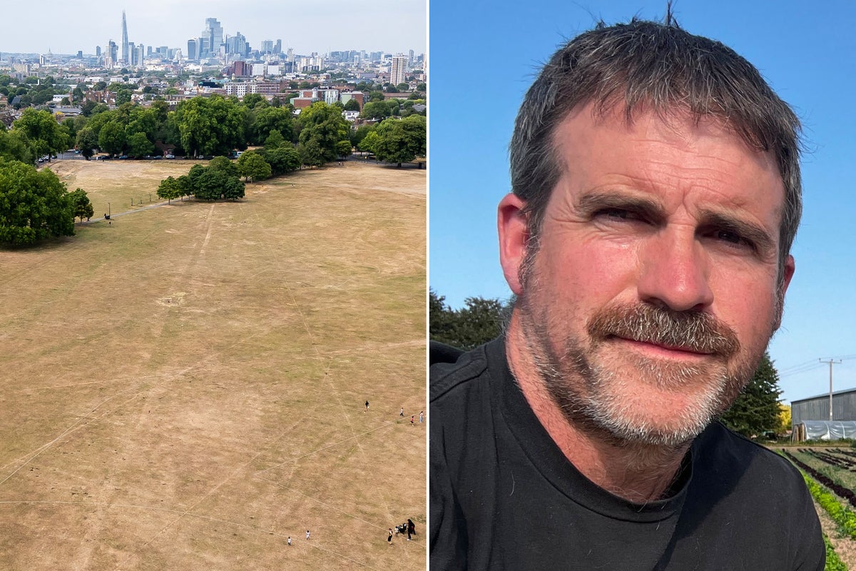 Um agricultor alerta que a ameaça de uma seca britânica pode forçá-lo a parar de cultivar vegetais