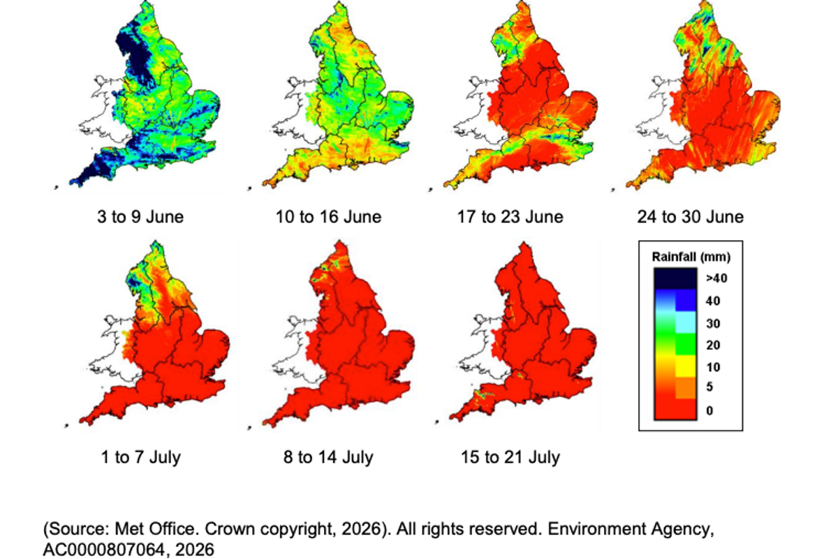 The maps and charts that show the huge impact of Britain’s record-breaking summer