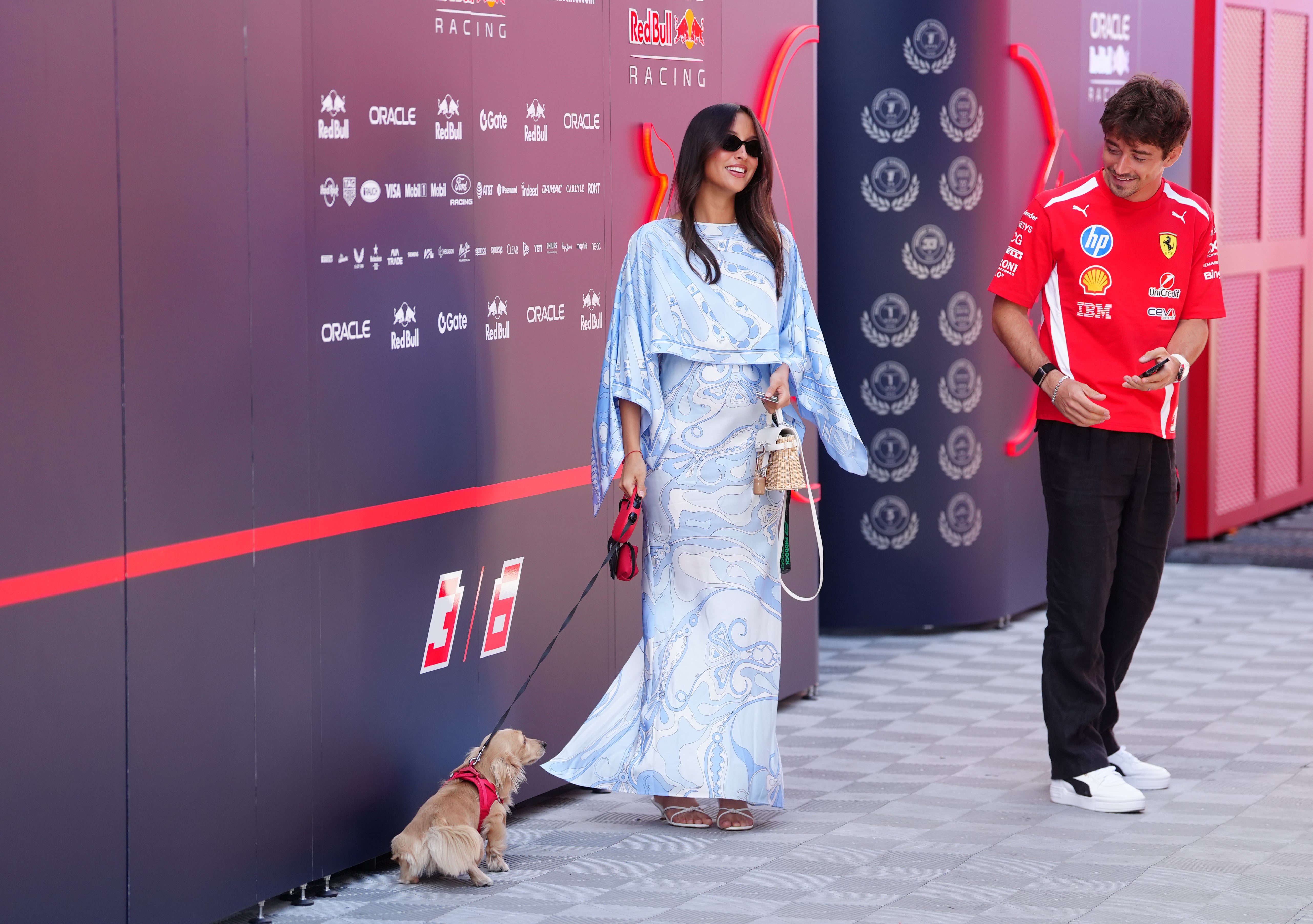 Charles Leclerc’s dog, Leo, takes a pit-stop in front of Max Verstappen’s Red Bull garage (David Davies/PA) (PA Wire)