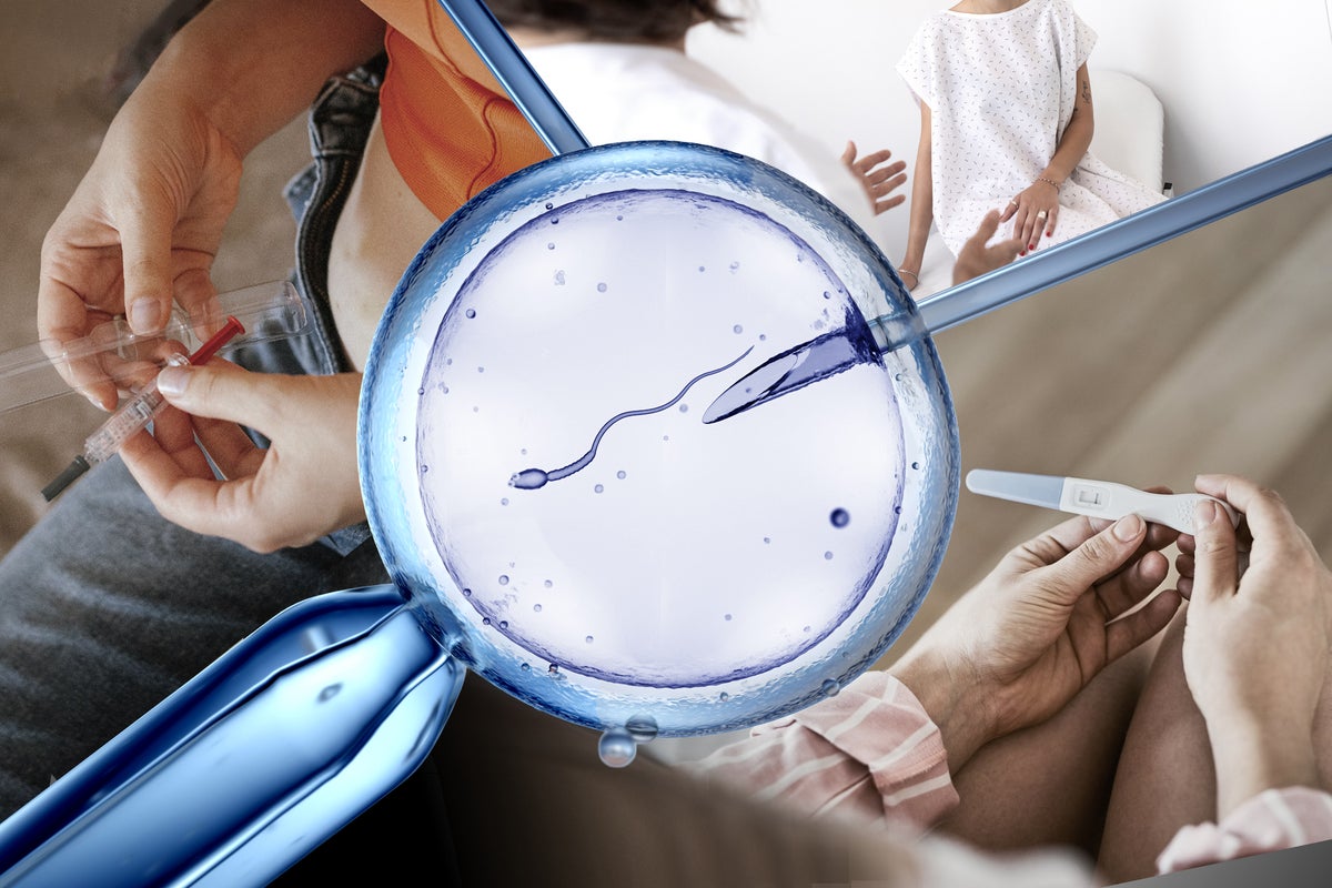Amid the panic about the birth rate crisis, access to IVF is being quietly decimated – UK Times Amid the panic about the birth rate crisis, access to IVF is being quietly decimated – UK Times
