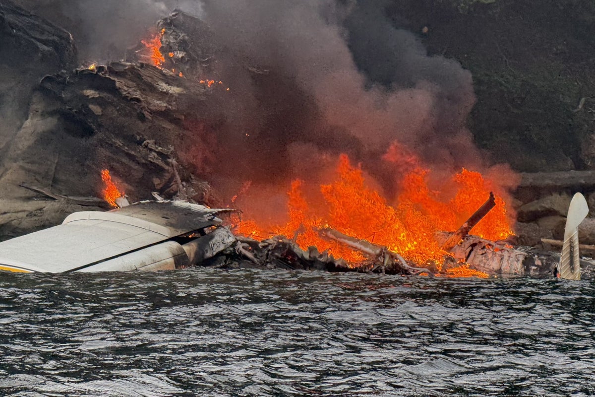 A seaplane carrying 11 crashes into an island north of Seattle and all aboard are rescued – UK Times A seaplane carrying 11 crashes into an island north of Seattle and all aboard are rescued – UK Times