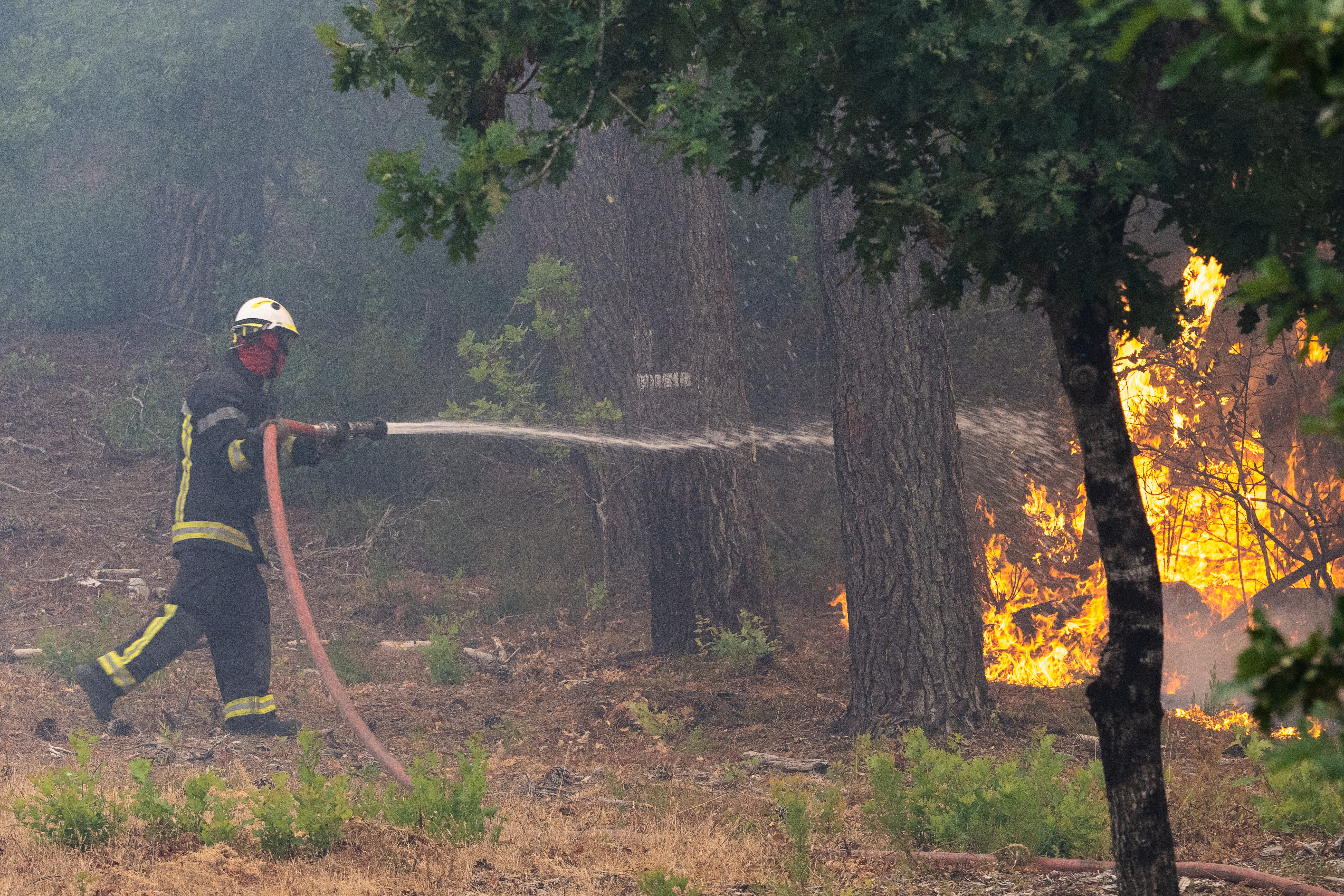 A firefighter sprays water in a burning forest in the Lège-Cap-Ferret region, western France