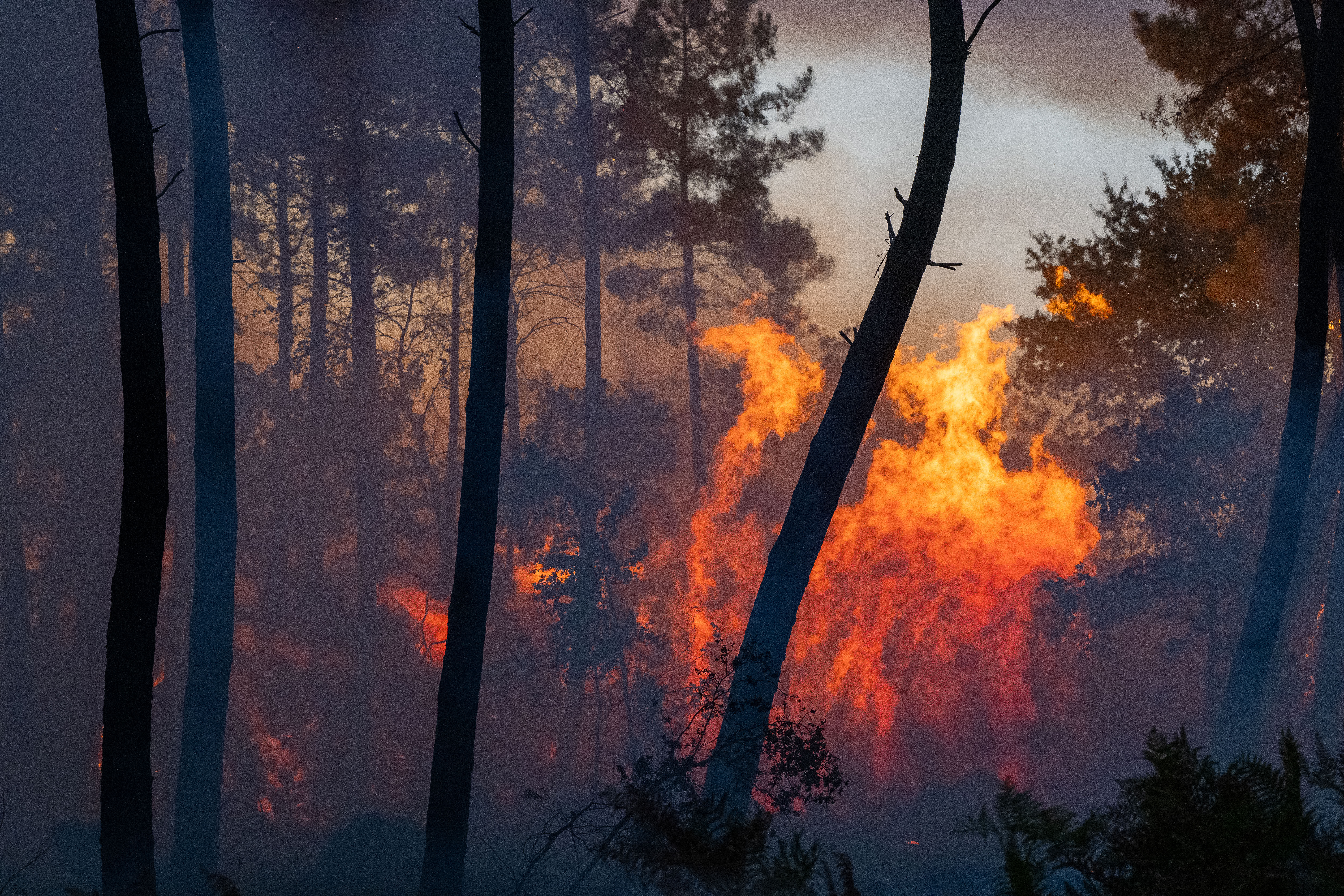 Wildfires advance near Le Proge region, western France