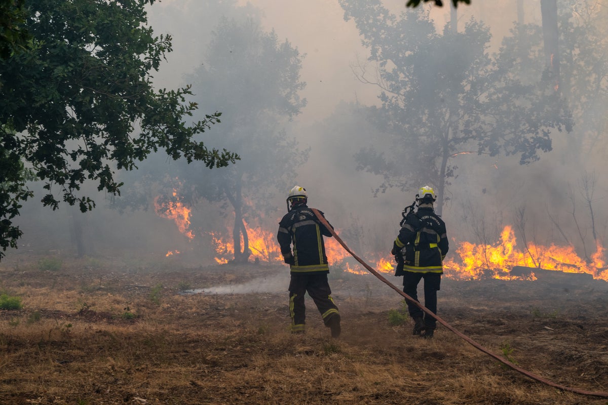 Wildfire leads to evacuations in some suburbs of the French city of Bordeaux – UK Times Wildfire leads to evacuations in some suburbs of the French city of Bordeaux – UK Times