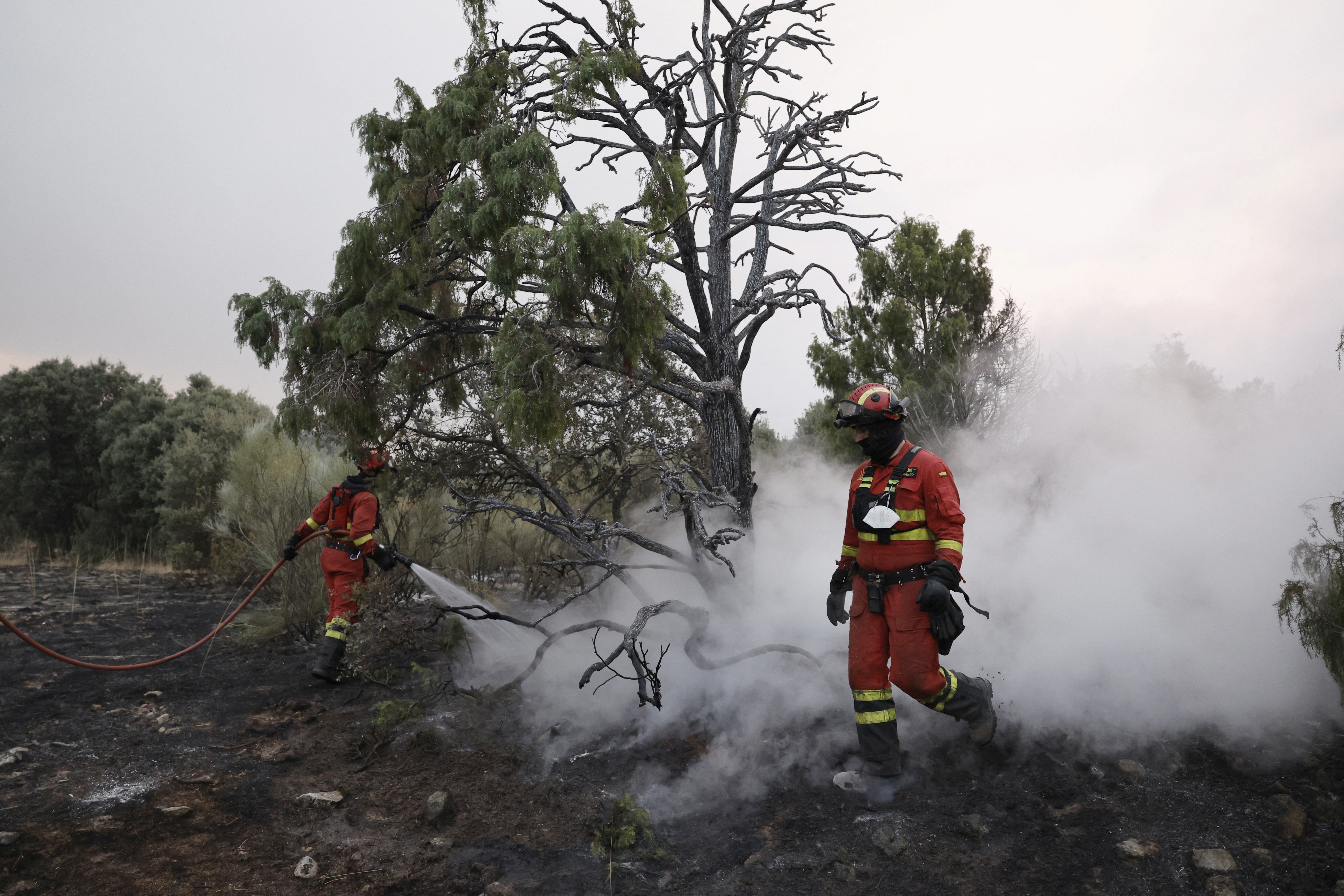 Firefighters battle a blaze near El Escorial, 60 km northwest of Madrid (AFP/Getty)