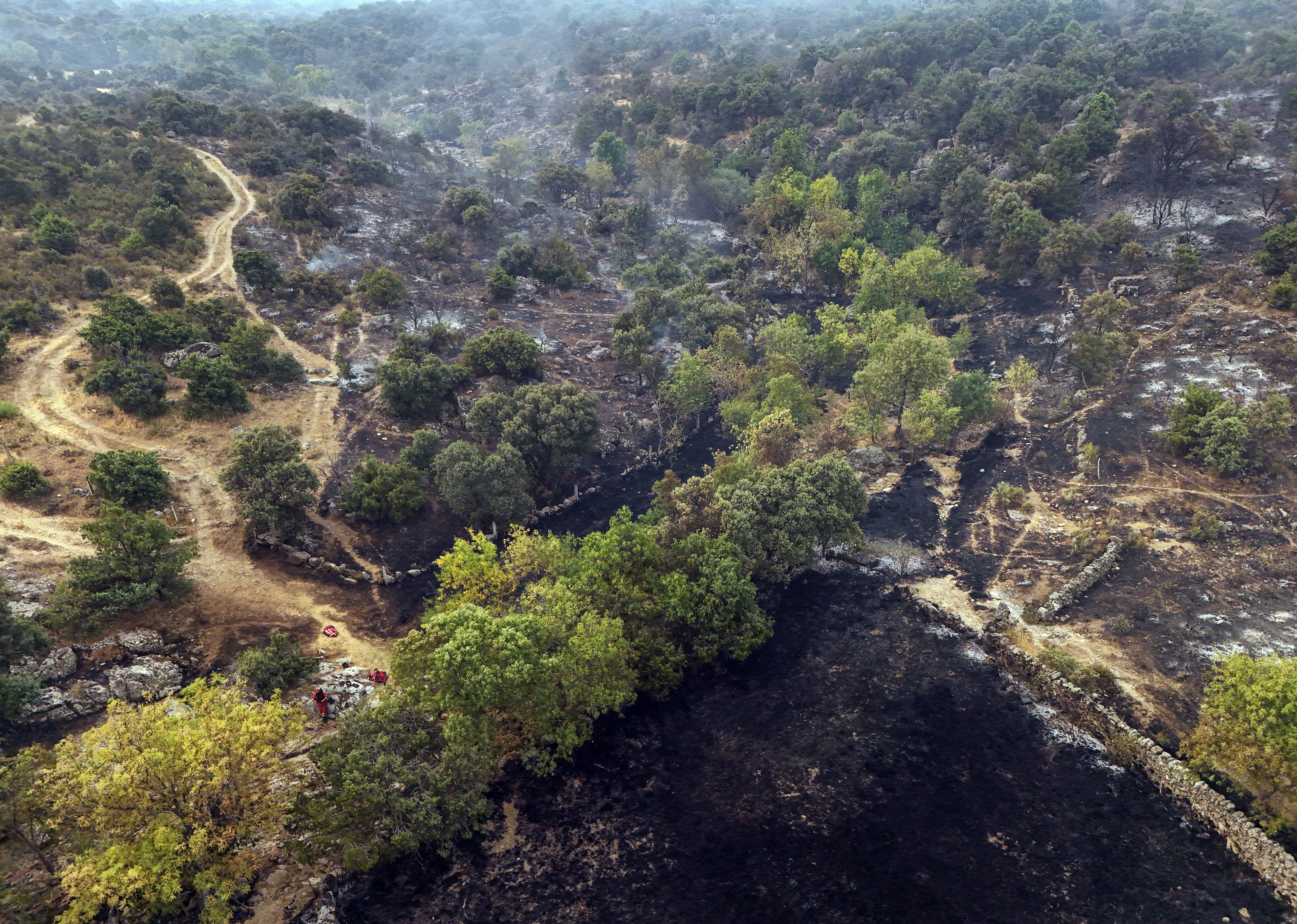 Large areas of the countryside near El Escorial have burnt (AFP/Getty)