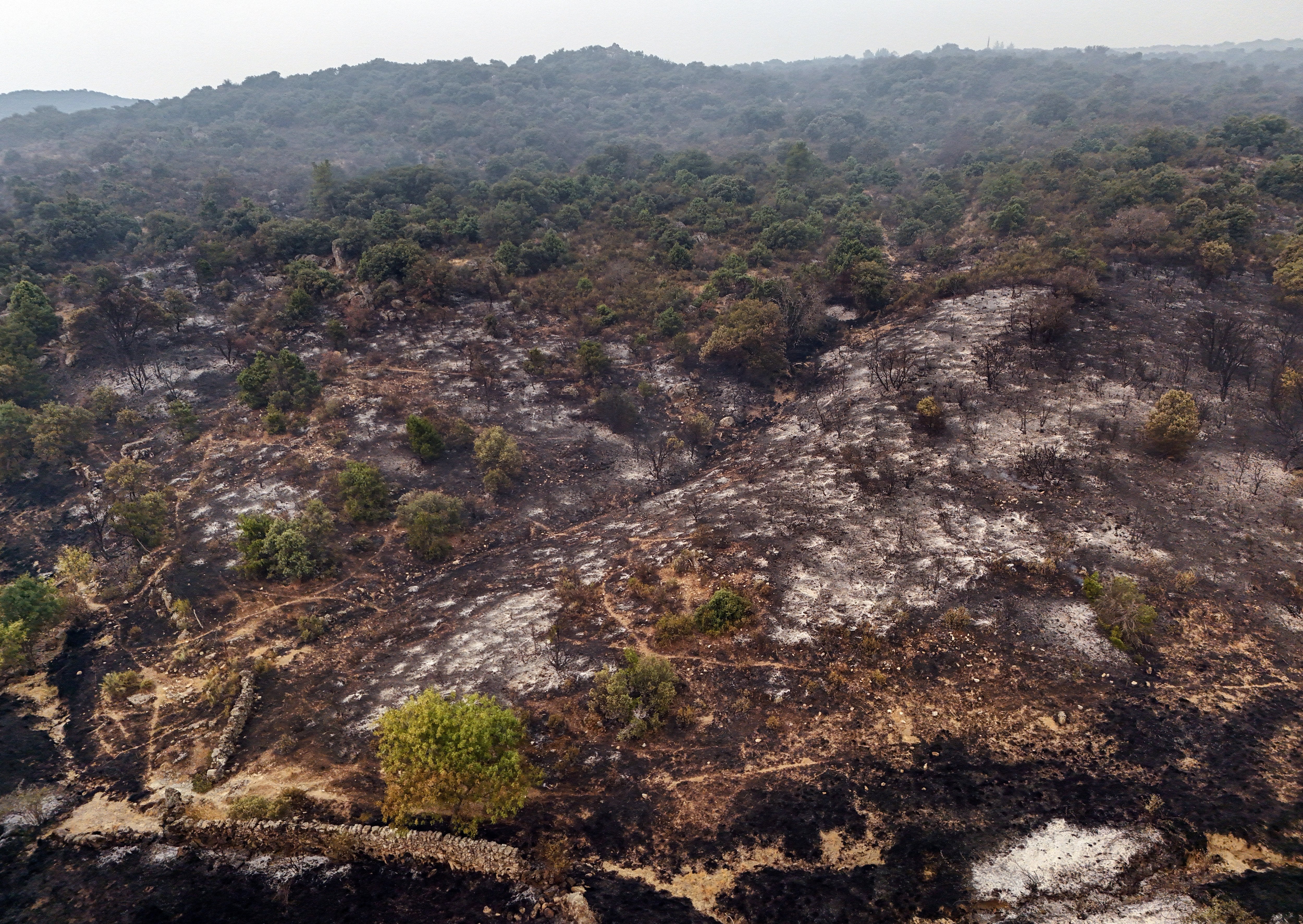 The burnt landscape amid a wildfire in Fresnedillas area, near El Escorial
