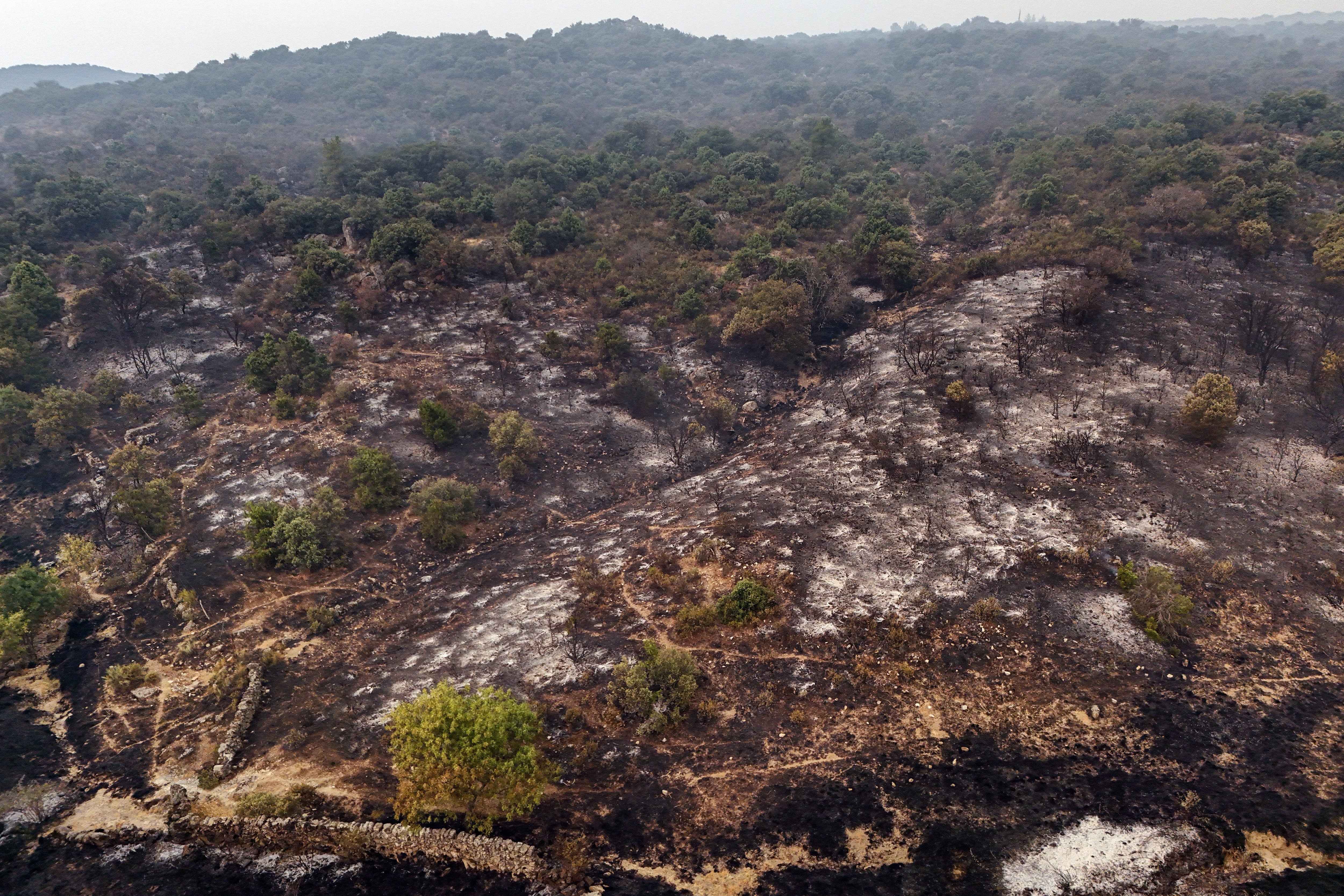 The burnt landscape amid a wildfire in Fresnedillas area, near El Escorial (AFP/Getty)