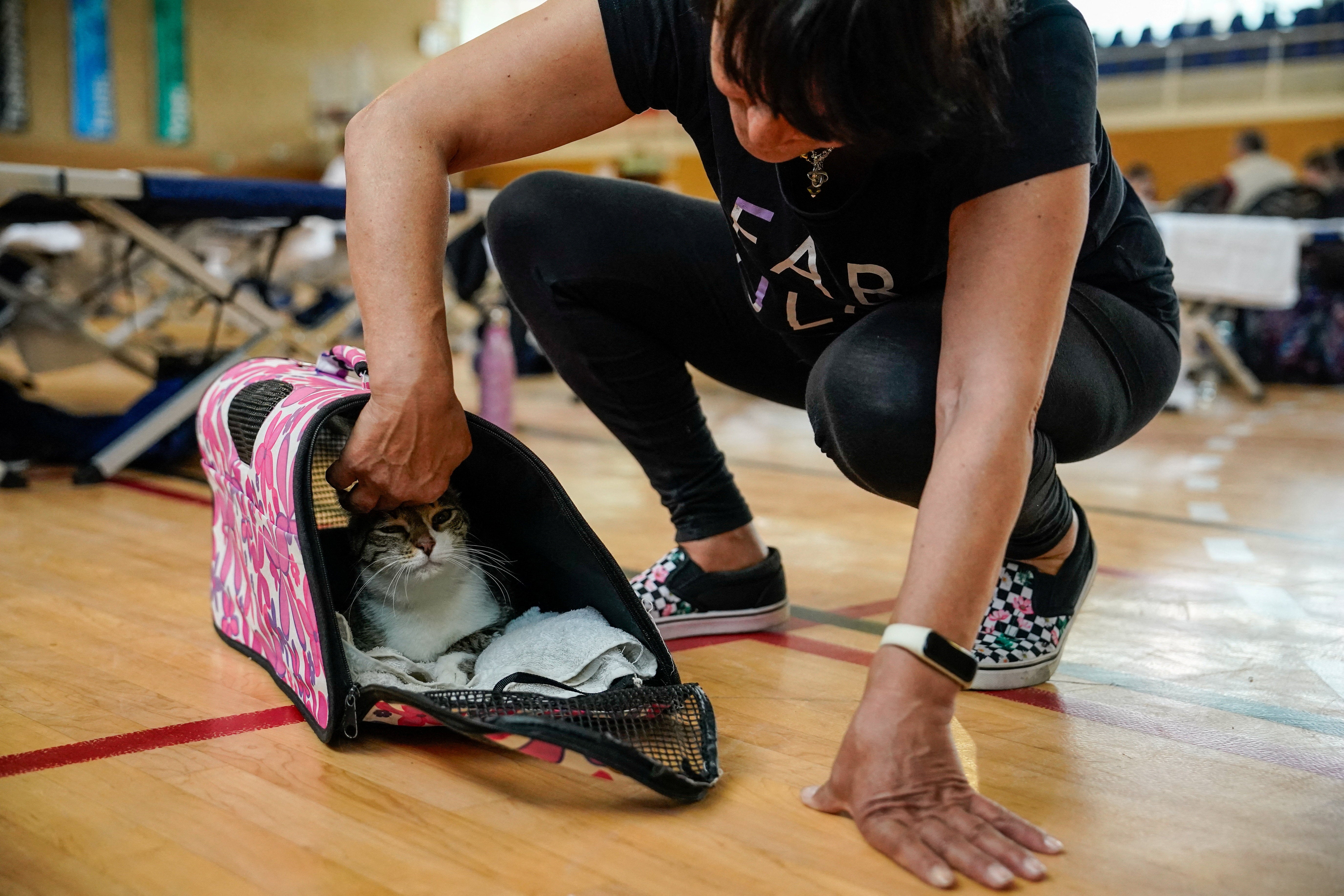 Rodika, 60, from Fresnedillas de la Oliva looks at her cat Pisi as people affected by the wildfires take shelter at the Municipal Sports Hall of Villanueva de la Canada, Community of Madrid, Spain, July 25, 2026. (Reuters)