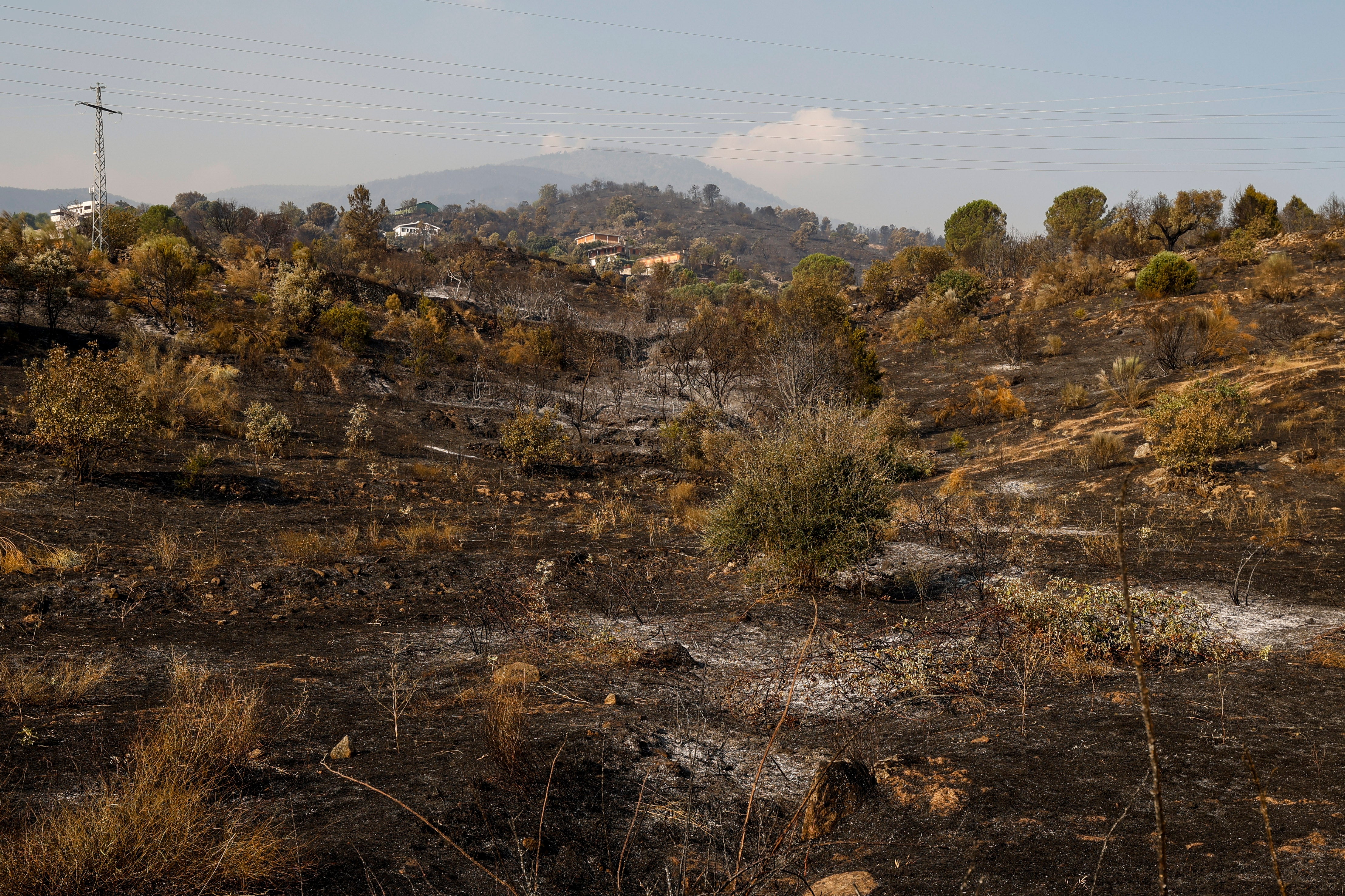 Houses stand in a burnt landscape after a wildfire on July 25, 2026 in El Tiemblo, in Ávila province, Spain.