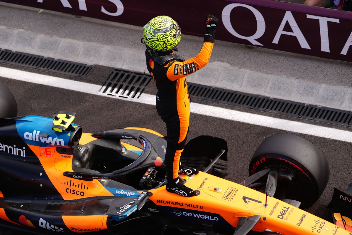 Lando Norris pips Lewis Hamilton to Hungary pole as Mercedes duo struggle