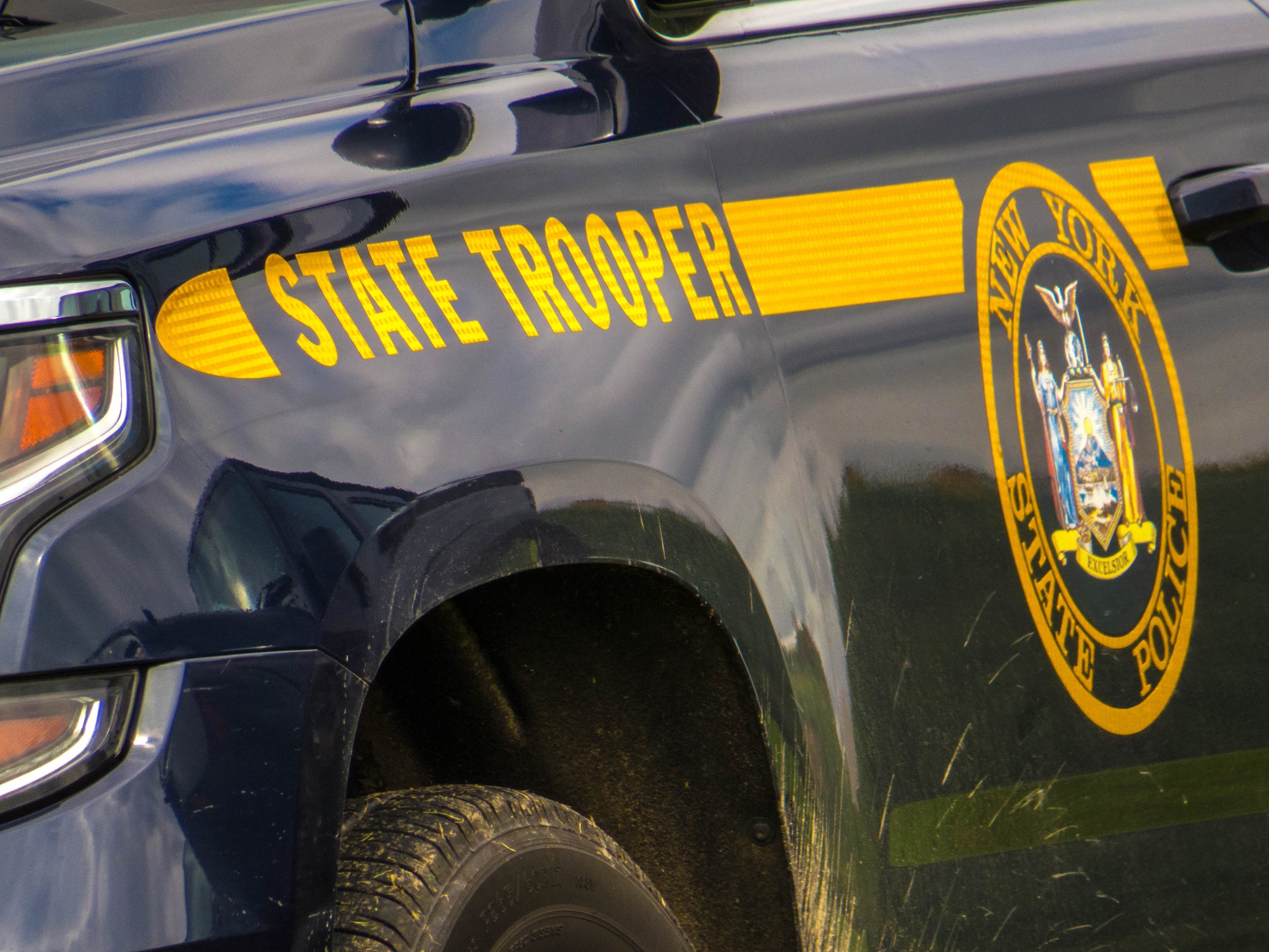 Woman killed when car hits horse in upstate New York