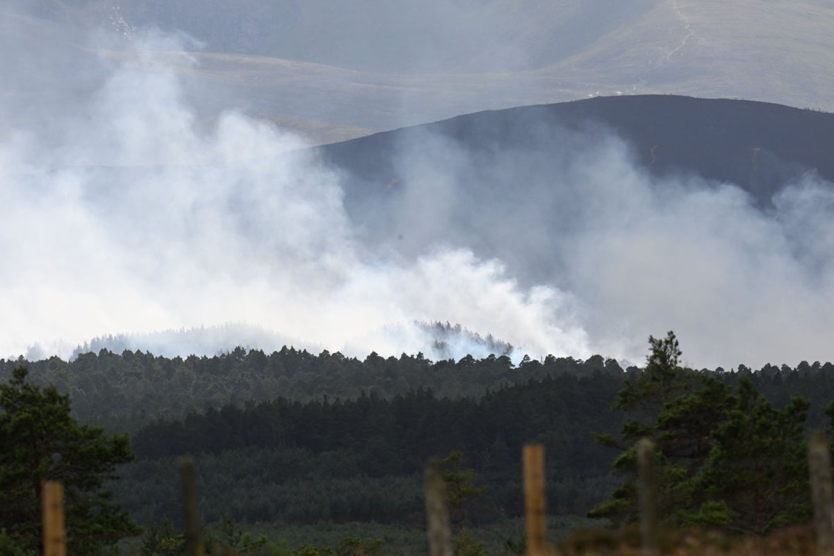 Cairngorms Blaze: A Fiery Indictment of Remote Work Fantasies