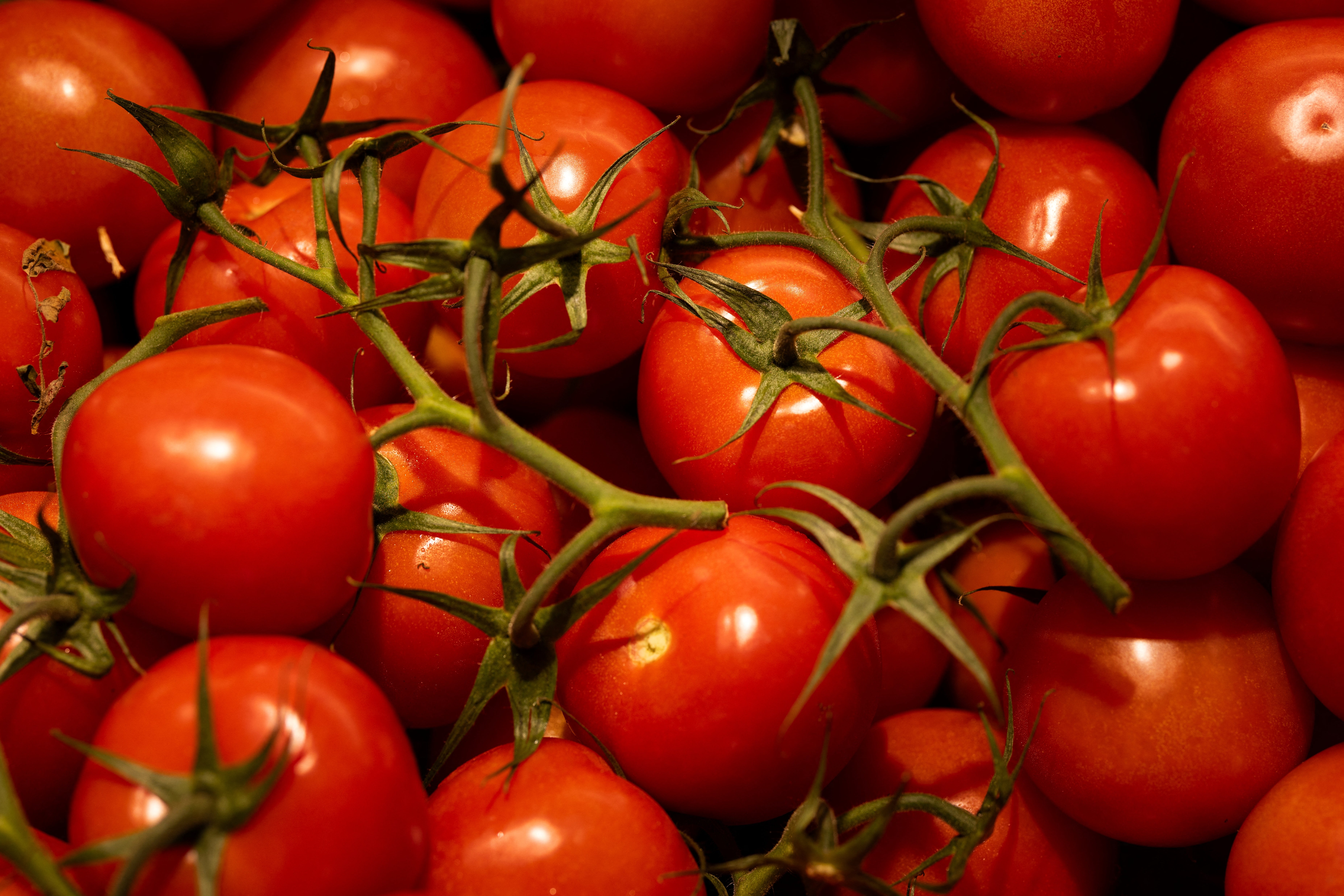 Sainsbury’s has inked two deals to increase supplies of British-grown tomatoes (AFP/Getty)