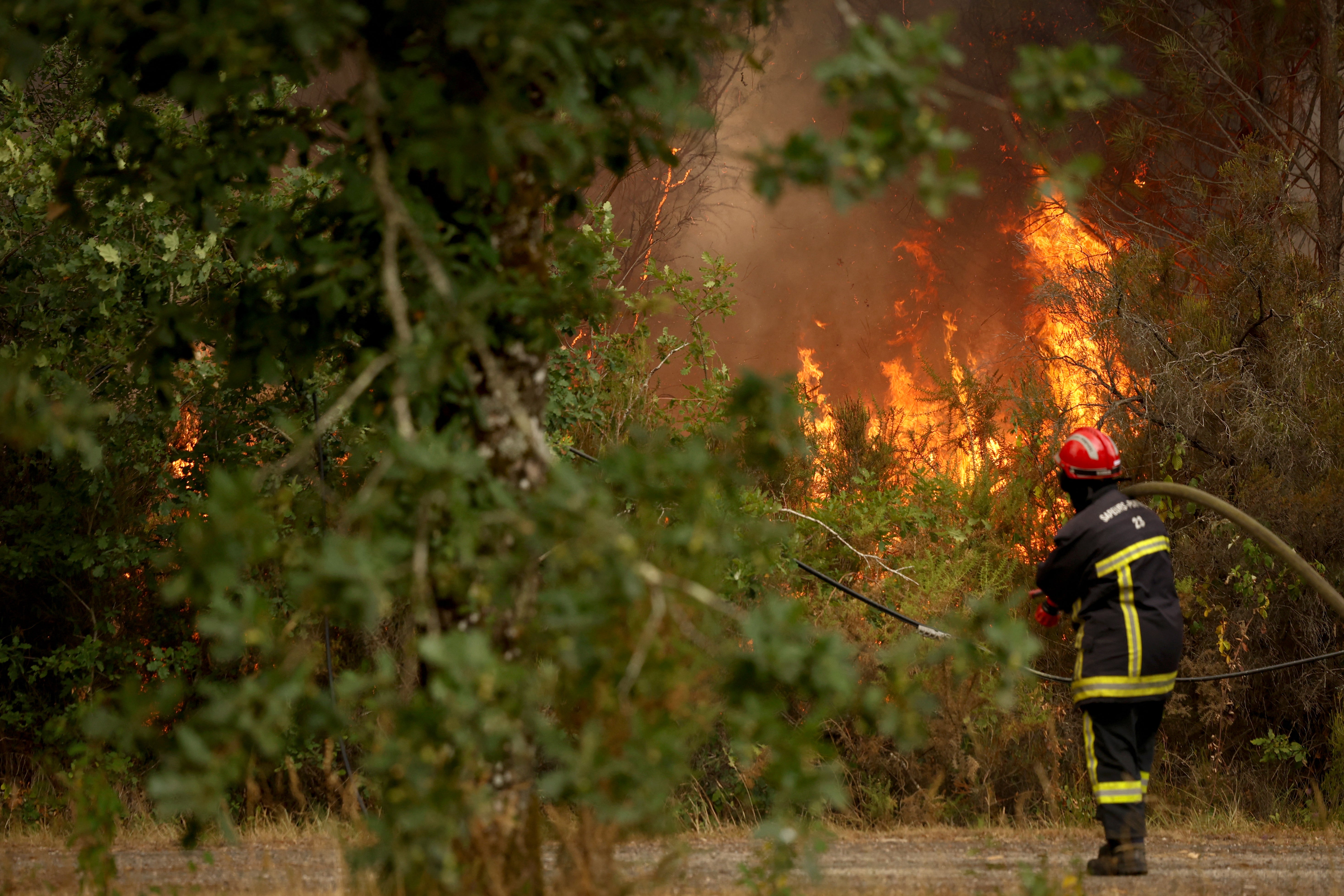 A firefighter pulls a hose on the edge of a burning area in Blagon, west of Bordeaux, on July 26, 2026 as a wildfire has been ravaging the forest north of the Arcachon Basin (Gironde) since July 22.