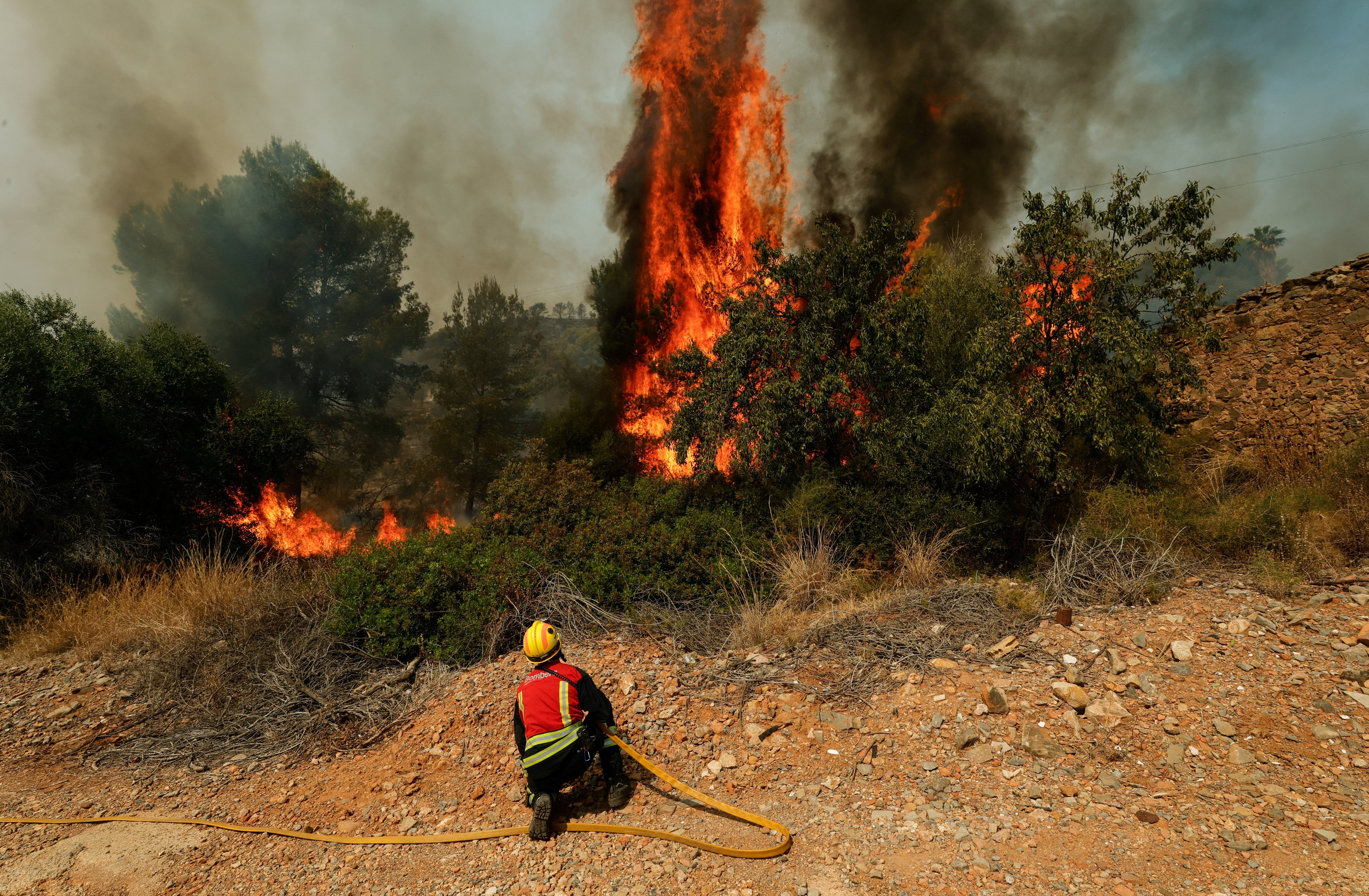 Wildfires across Spain have forced nearly 90,000 people to flee their homes