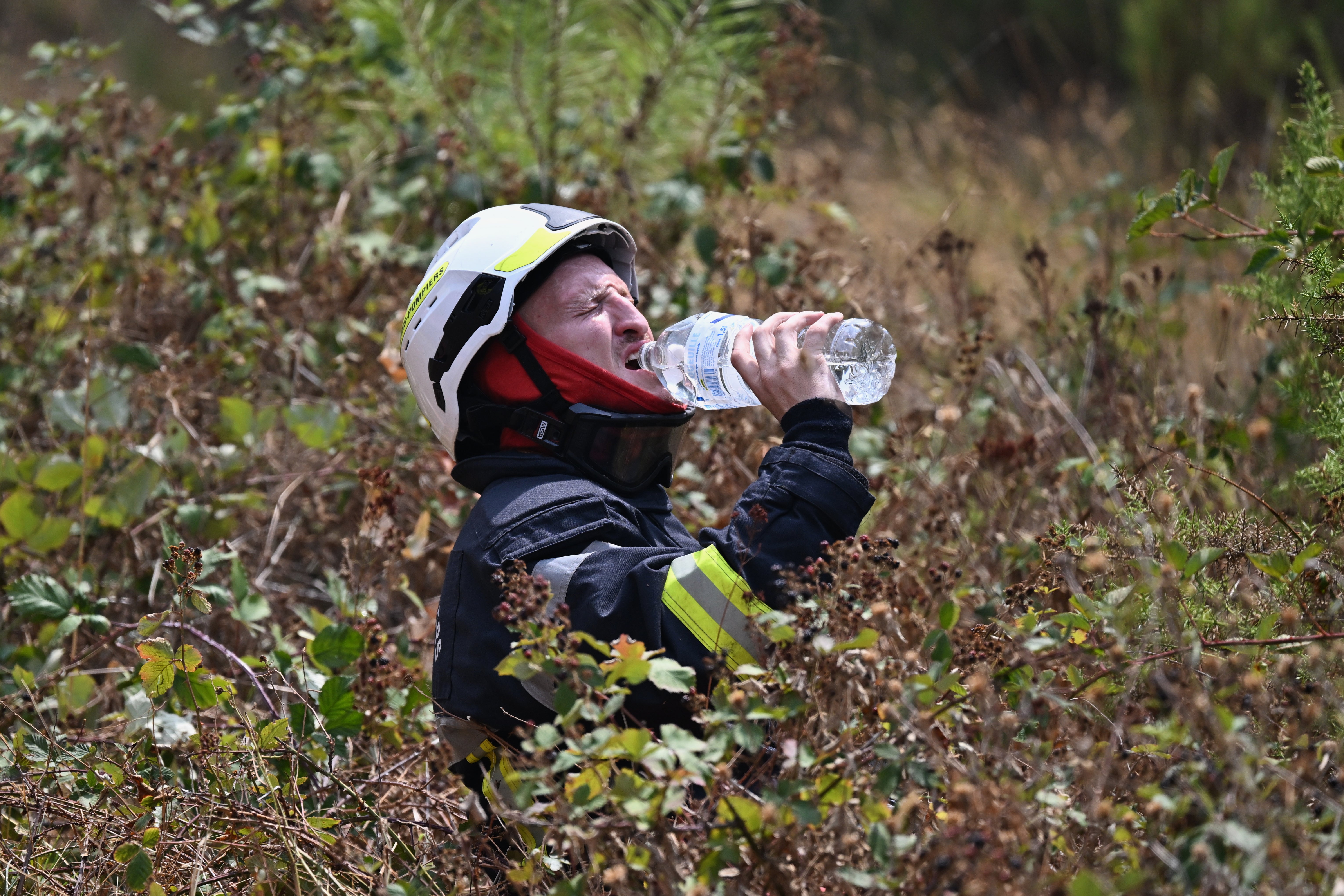 A firefighter takes a drink of water while battling a wildfire near Le Temple, outside, Bordeaux, France, Sunday, July 26, 2026. (AP)