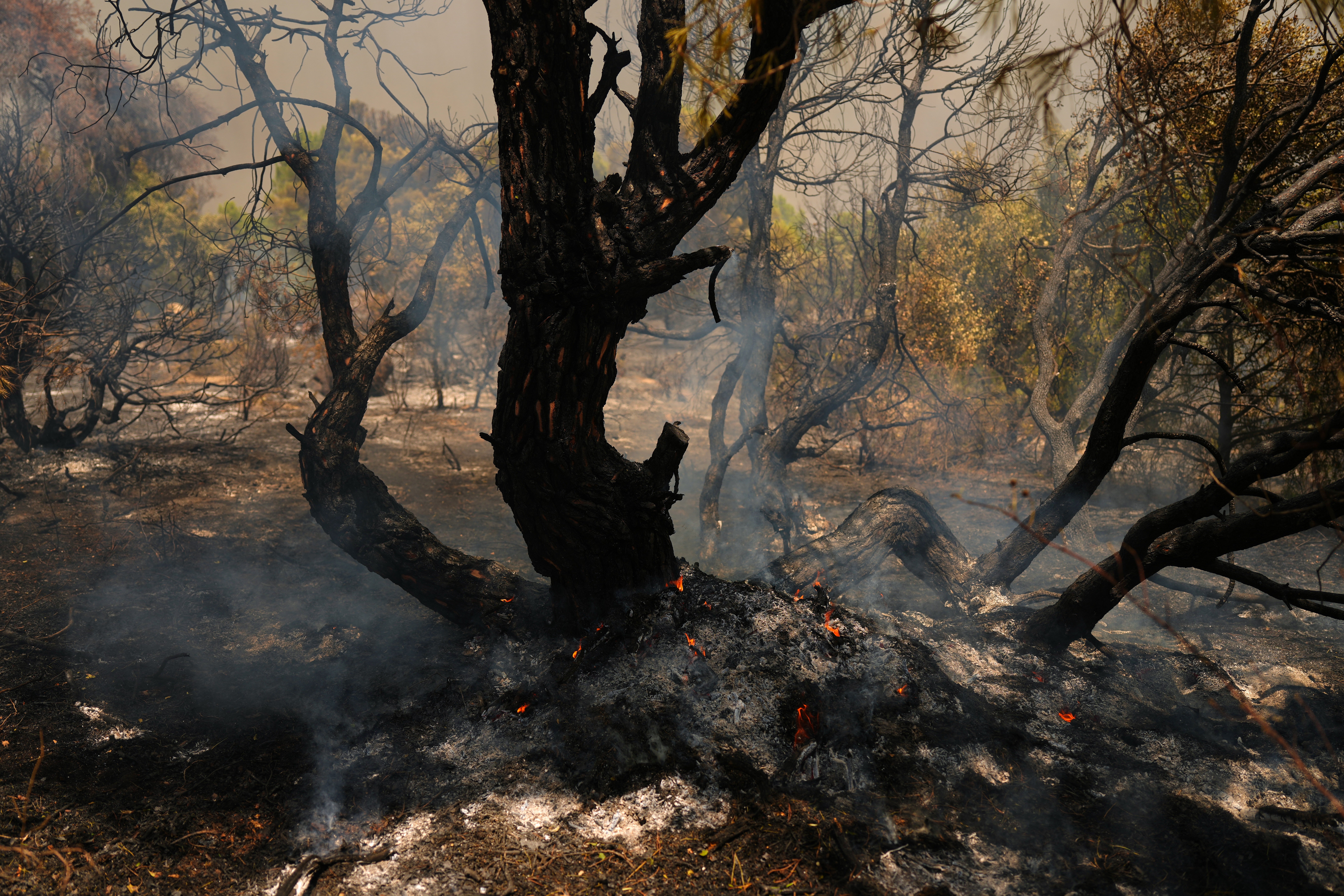 Spain Wildfires